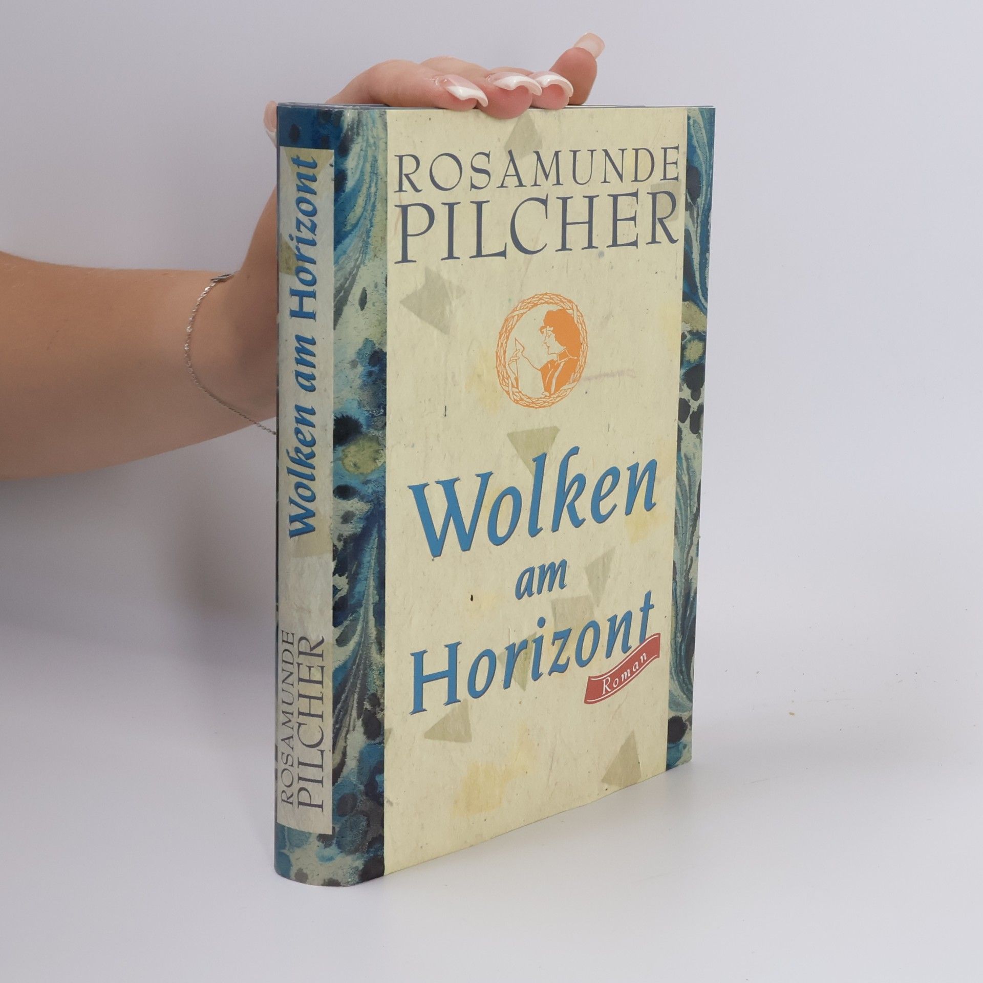 Rosamunde Pilcher Wolken am Horizont