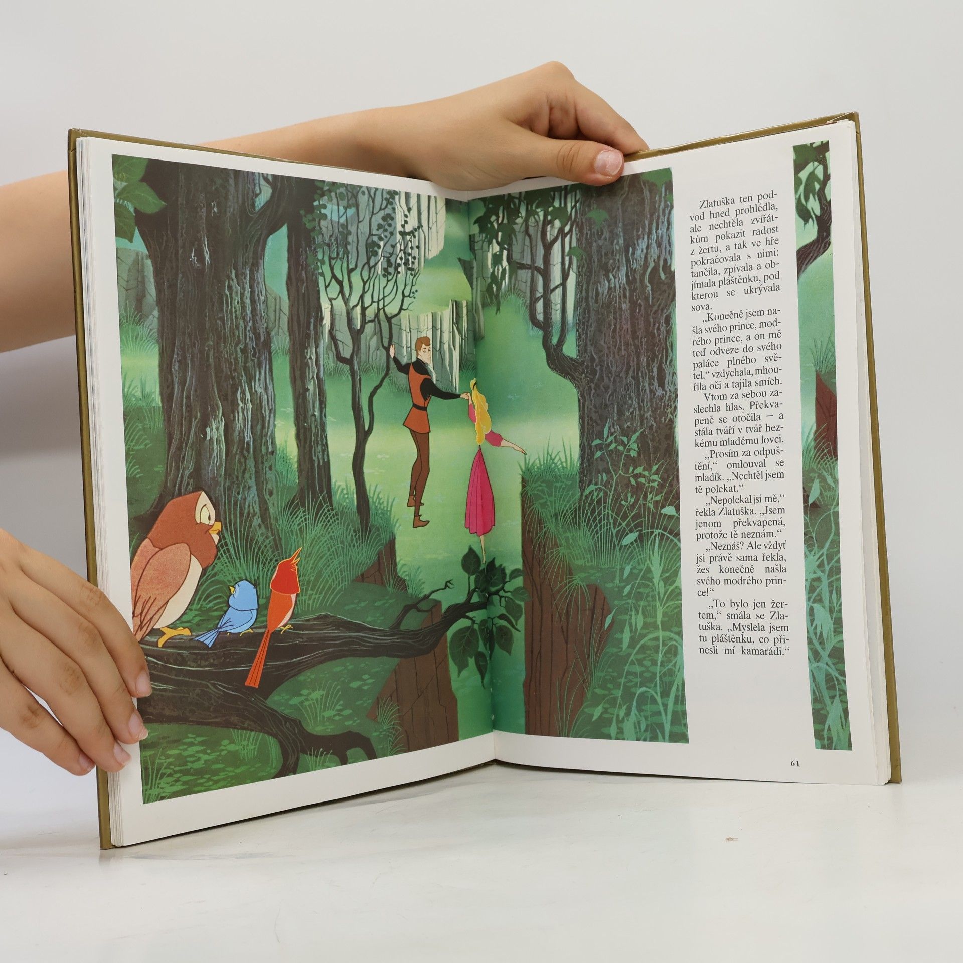 Walt Disney Robin Hood. Šípková Růženka. 101 dalmatinů