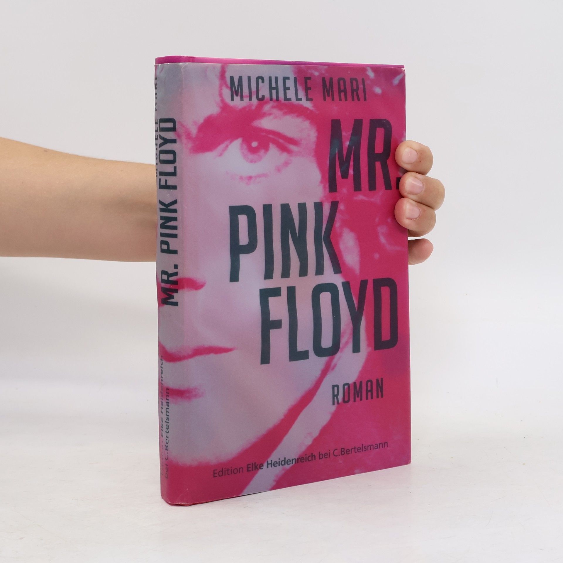 Michele Mari Mr. Pink Floyd
