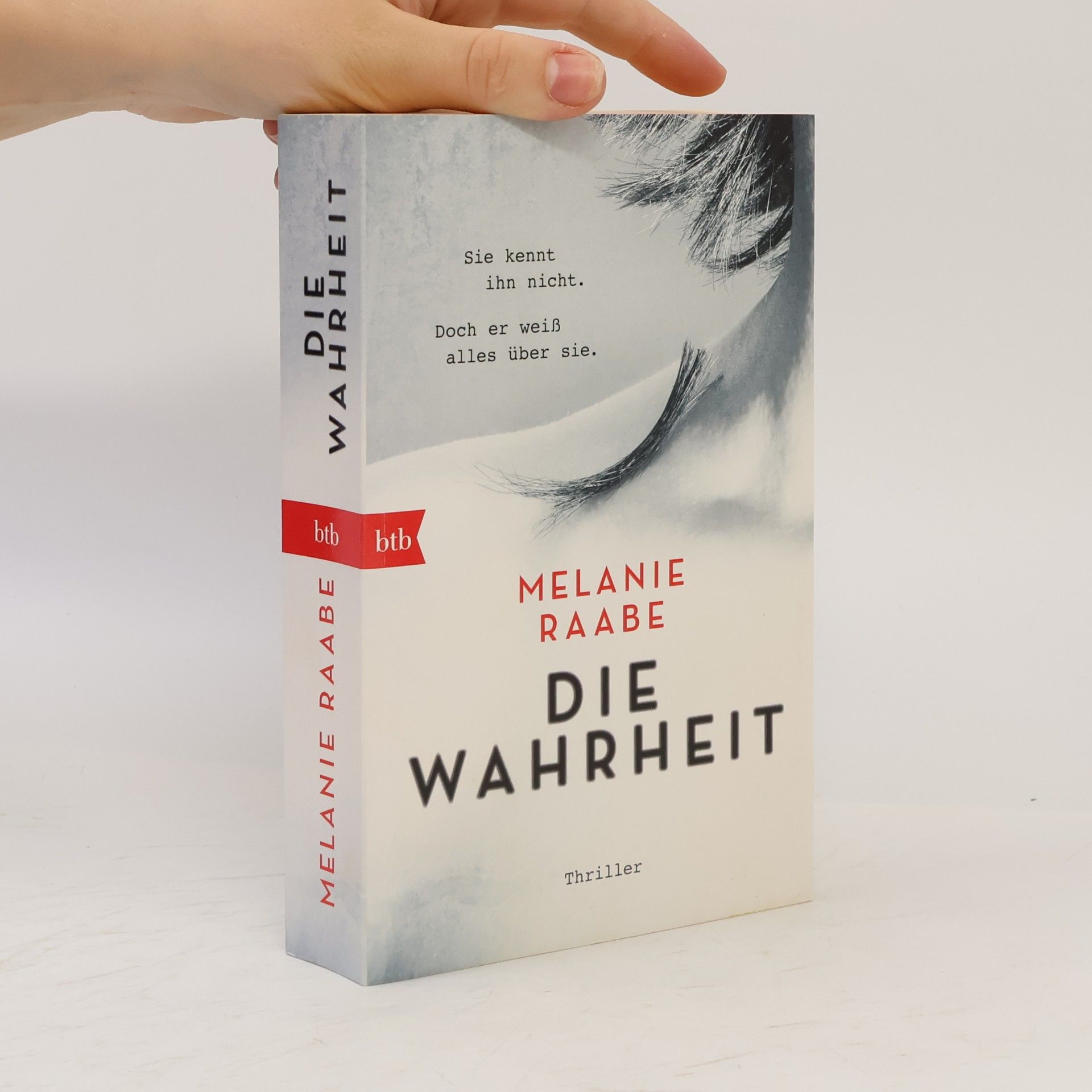 Melanie Raabe Die Wahrheit