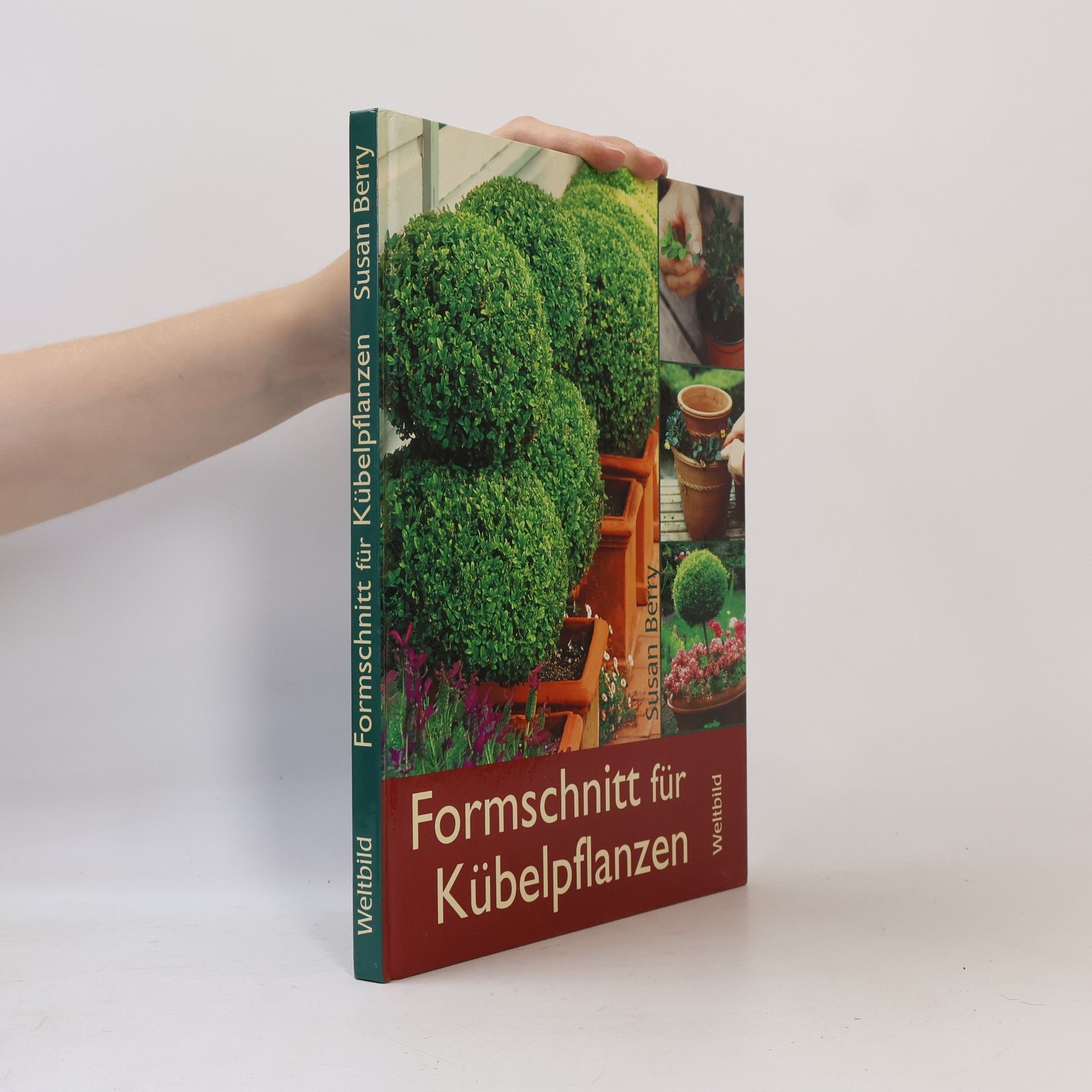 Susan Berry Formschnitt für Kübelpflanzen