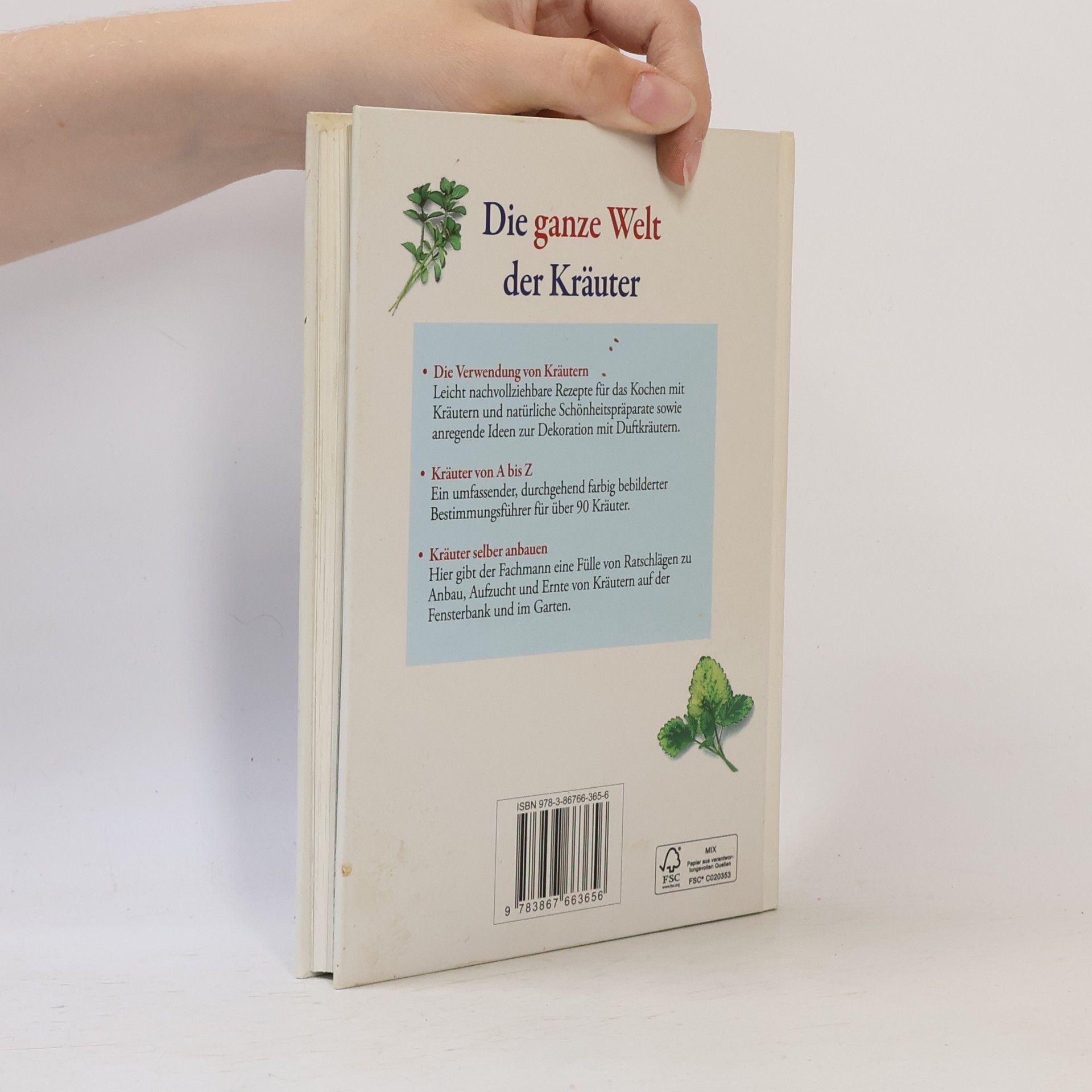 Autorenkollektiv Die ganze Welt der Kräuter: Der grosse Ratgeber für Haus und Garten
