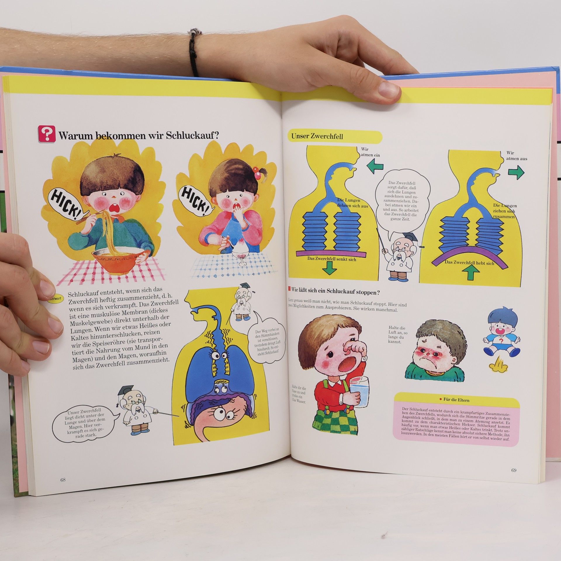 Autorenkollektiv Kinder entdecken ... unser Körper