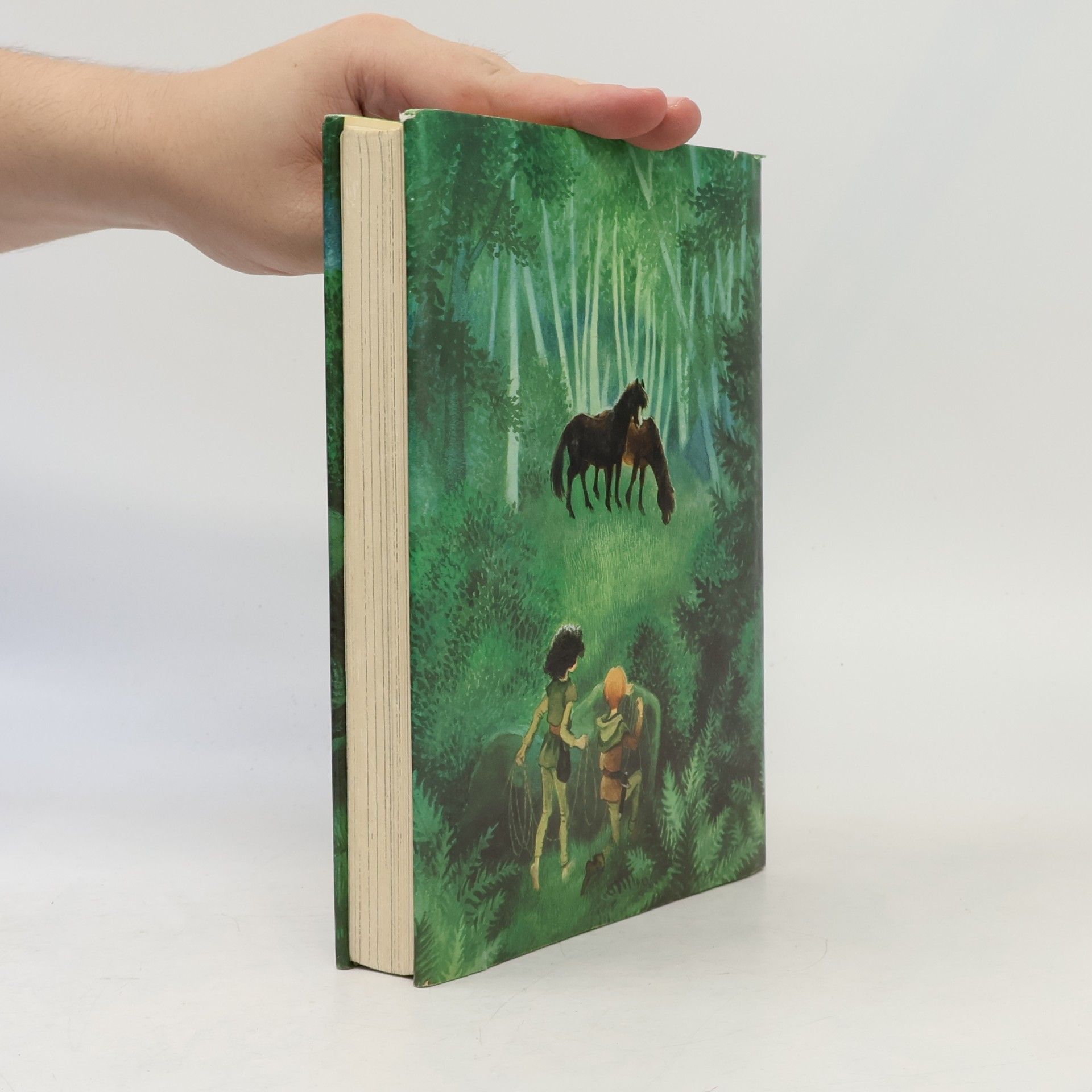 Astrid Lindgrenová Ronja Räubertochter