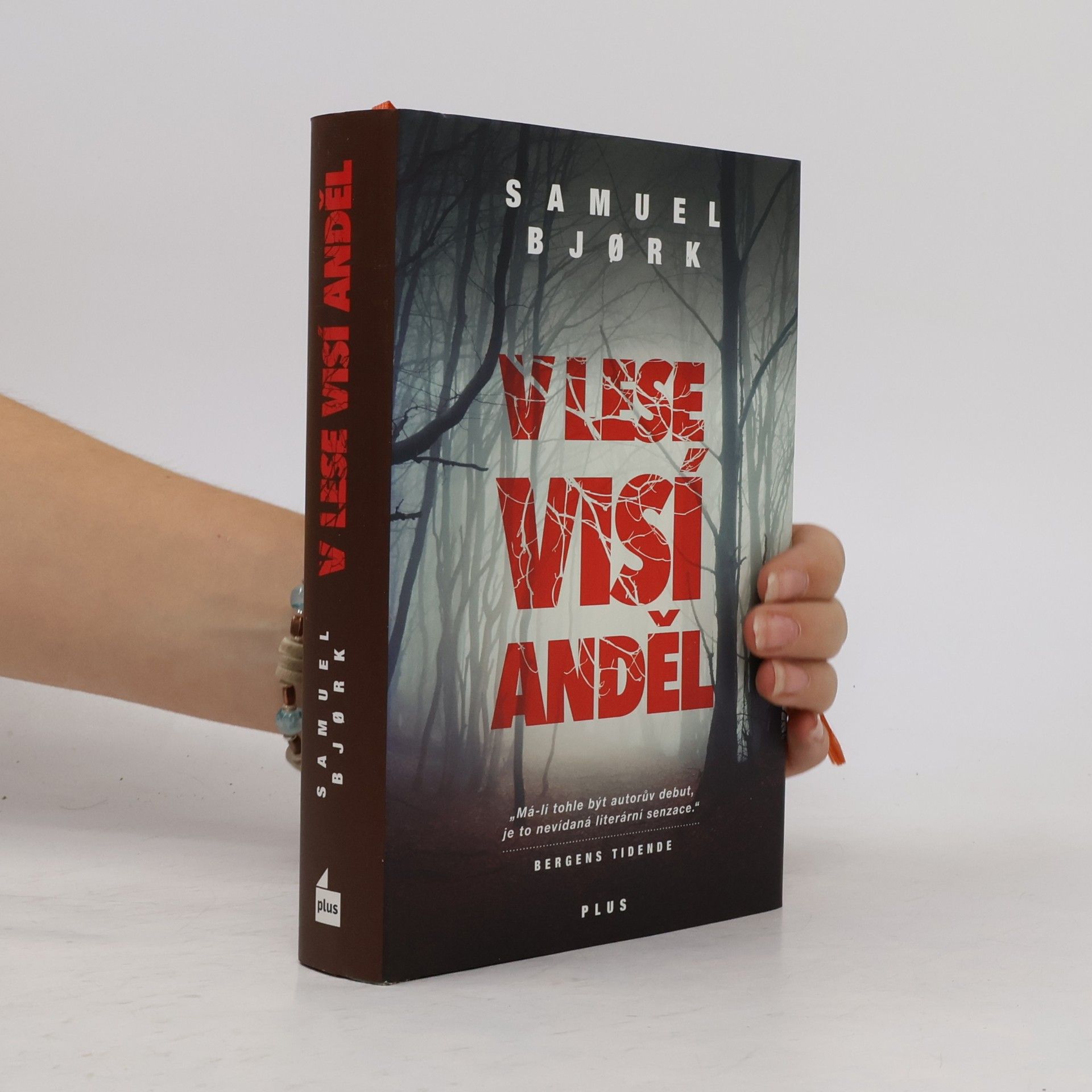 Samuel Bjork V lese visí anděl