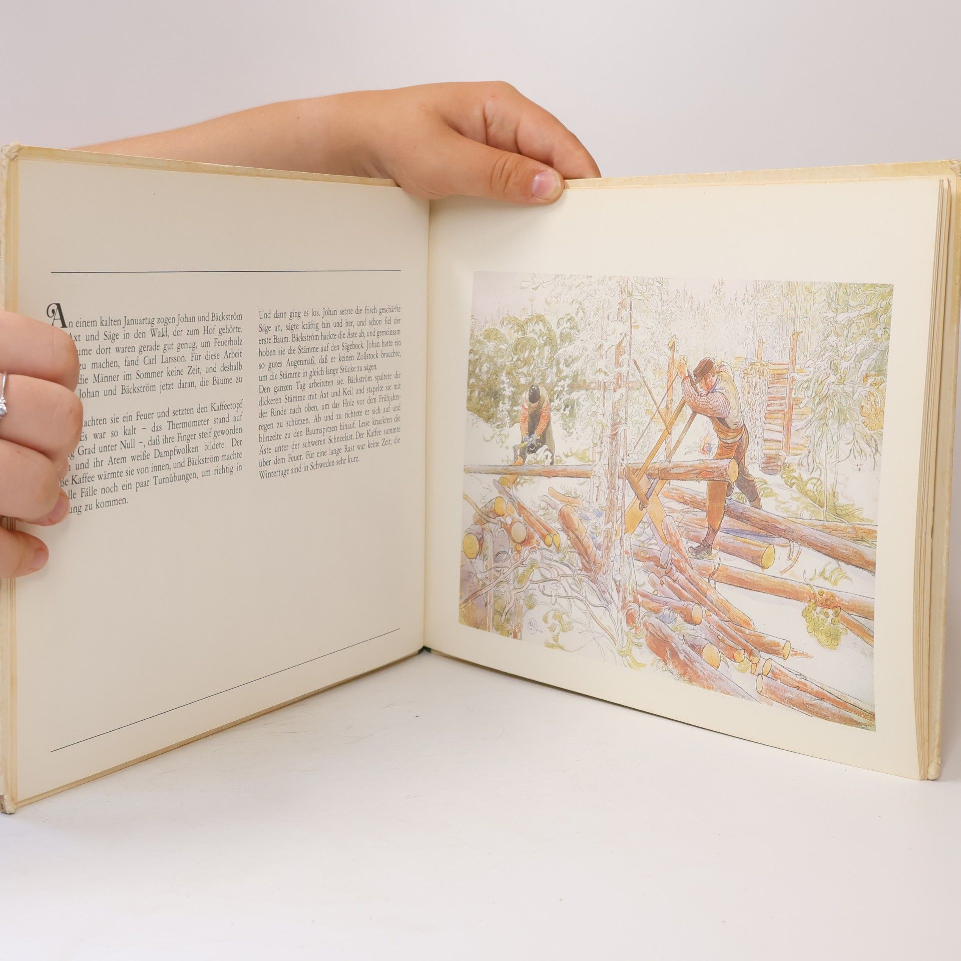 Carl Larsson Unser Hof