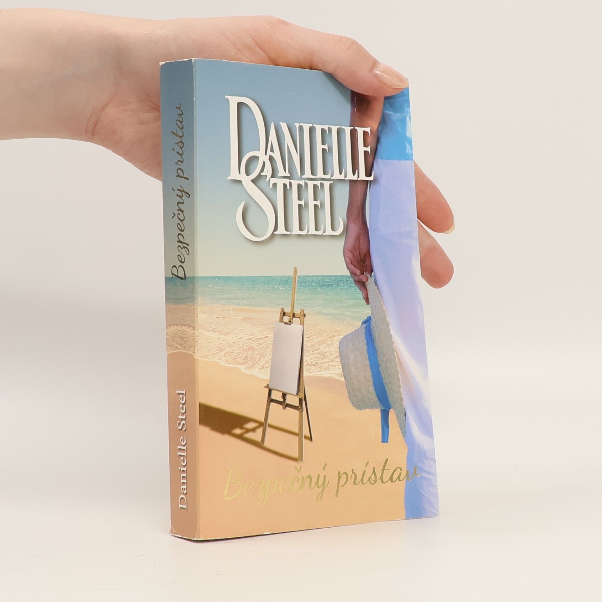 Danielle Steel Bezpečný prístav