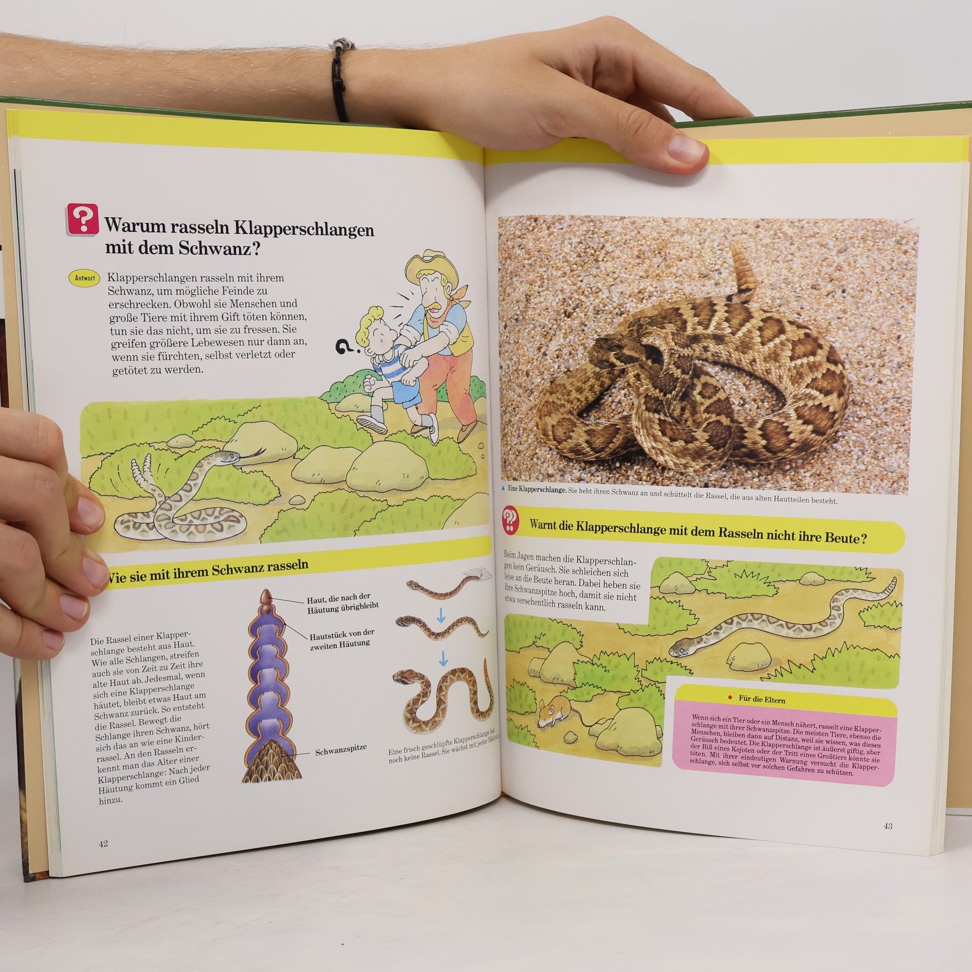 Autorenkollektiv Tiere in der Natur