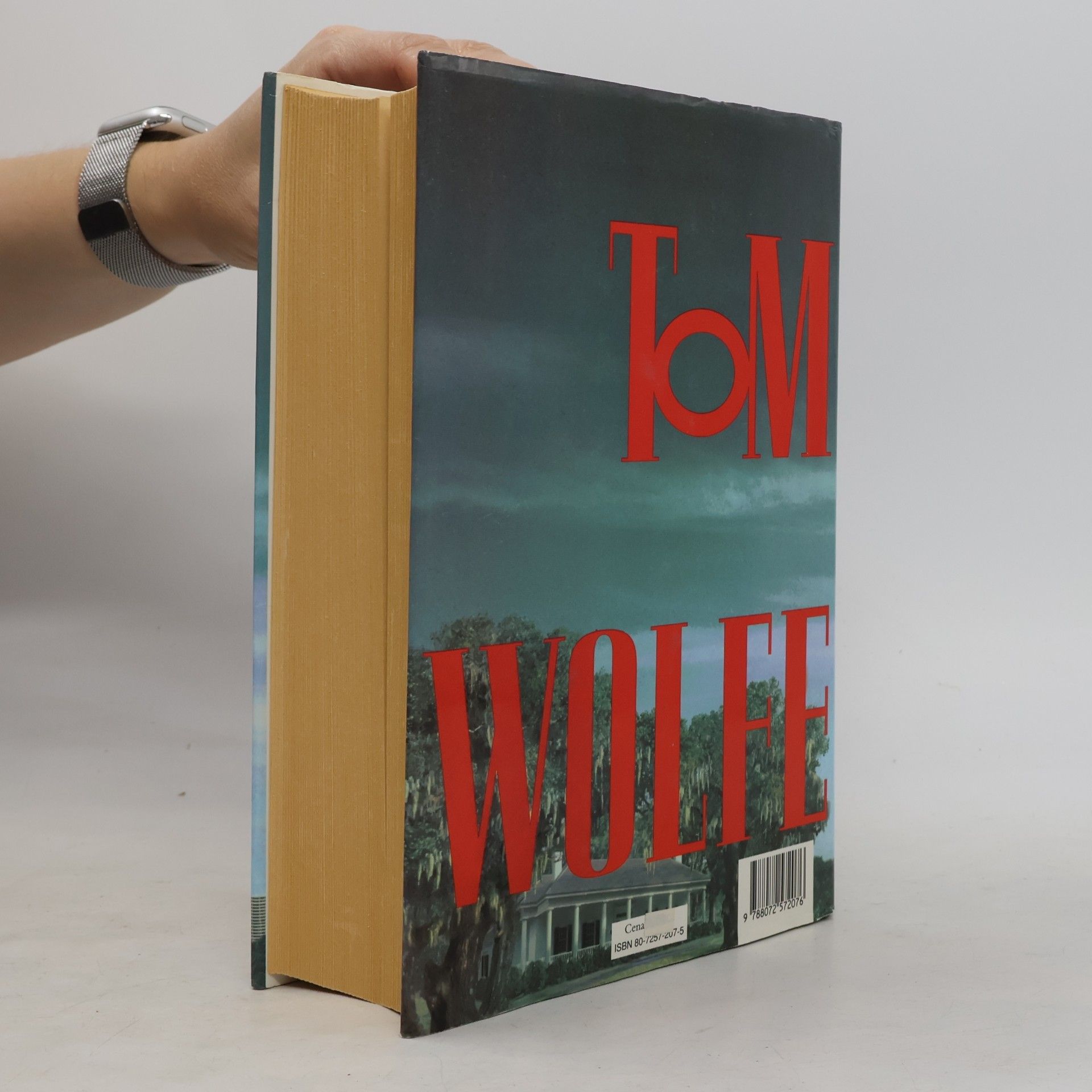 Tom Wolfe Muž na vrcholu