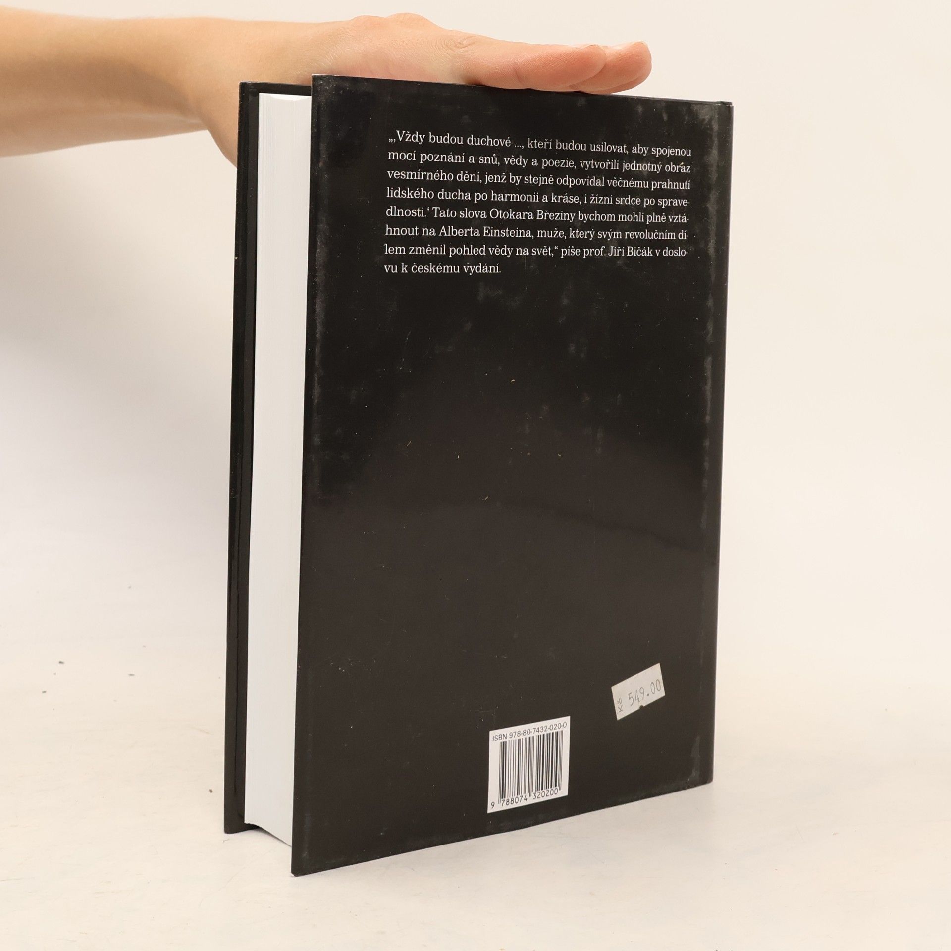 Walter Isaacson Einstein: jeho život a vesmír