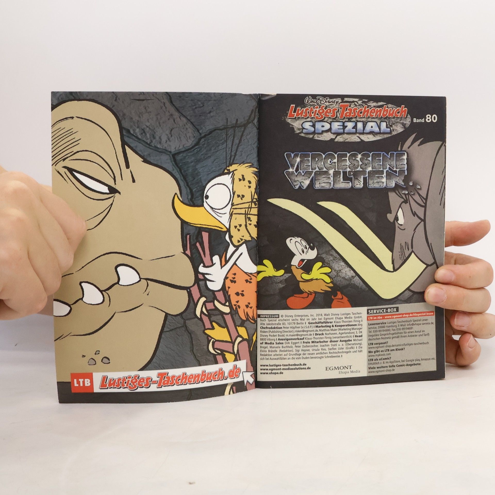 Walt Disney Lustiges Taschenbuch Spezial 80