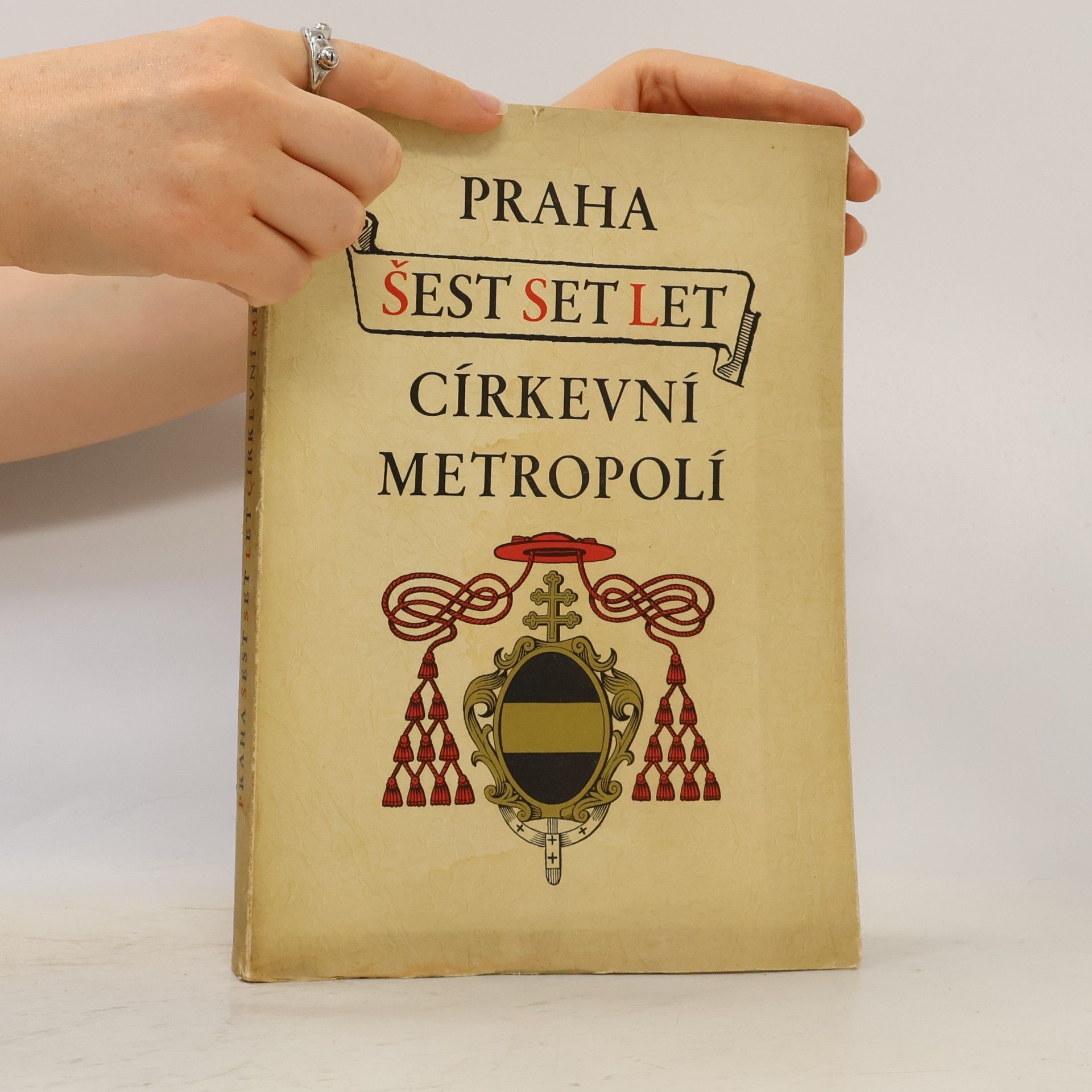 Kop František Praha šest set let církevní metropolí