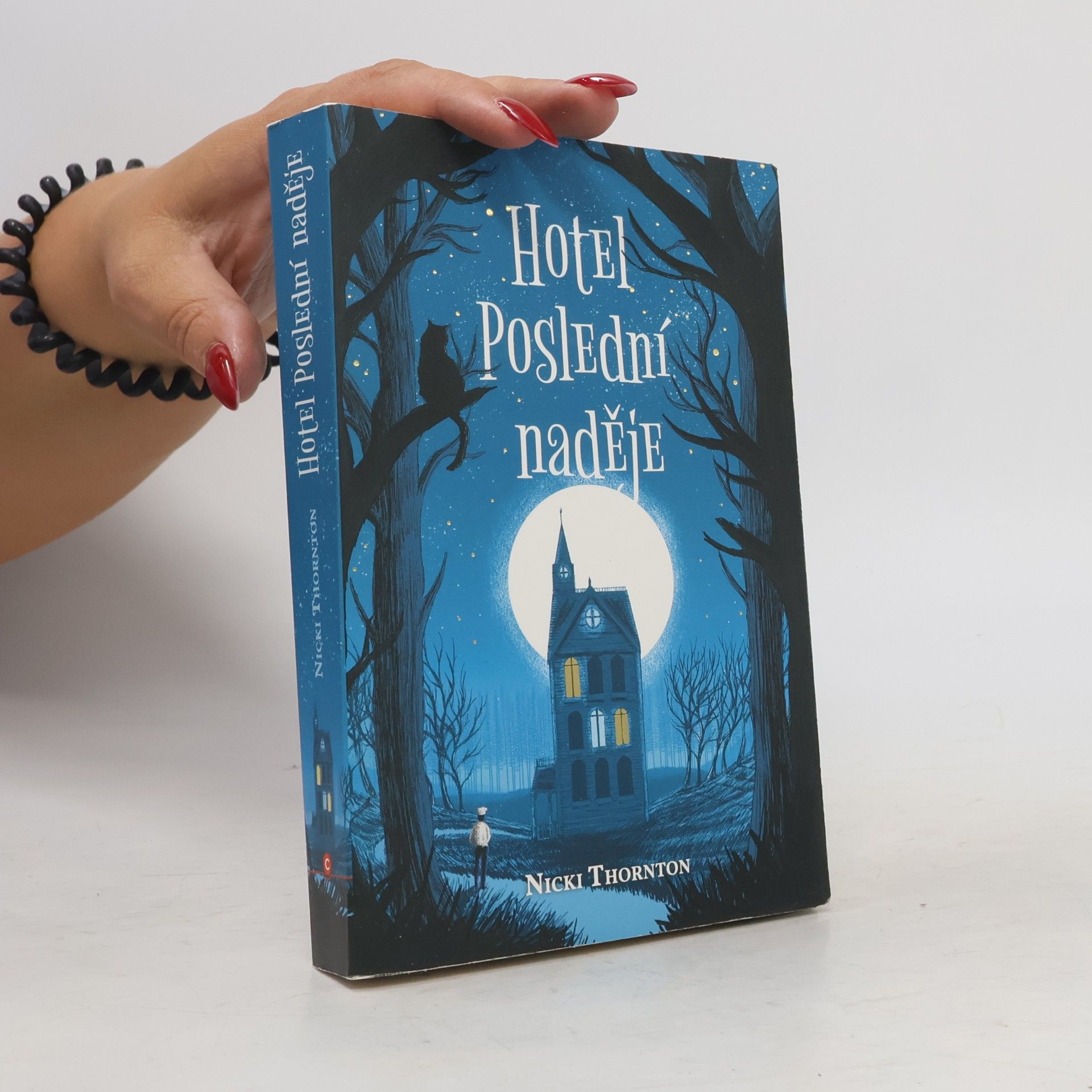 Nicki Thornton Hotel Poslední naděje