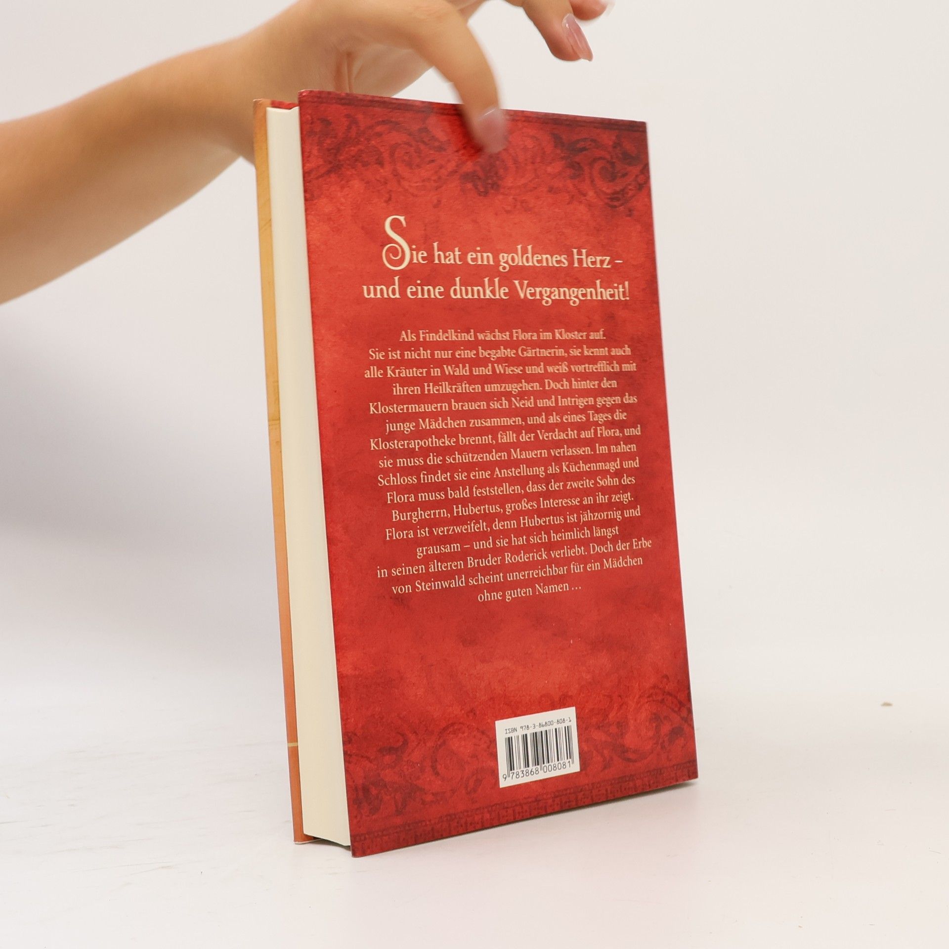 Ines Thorn Die Heilerin von Steinwald