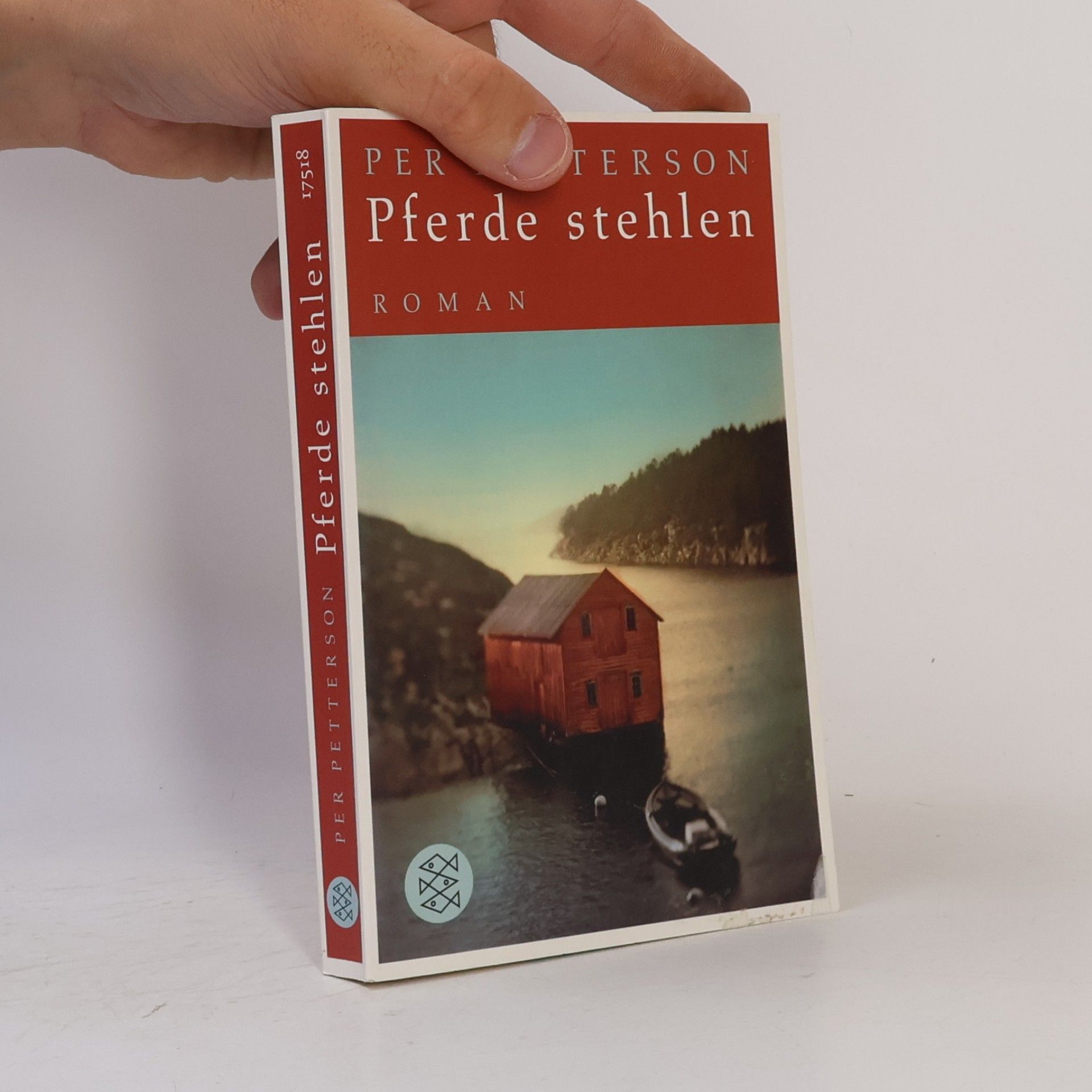 Per Petterson Pferde stehlen