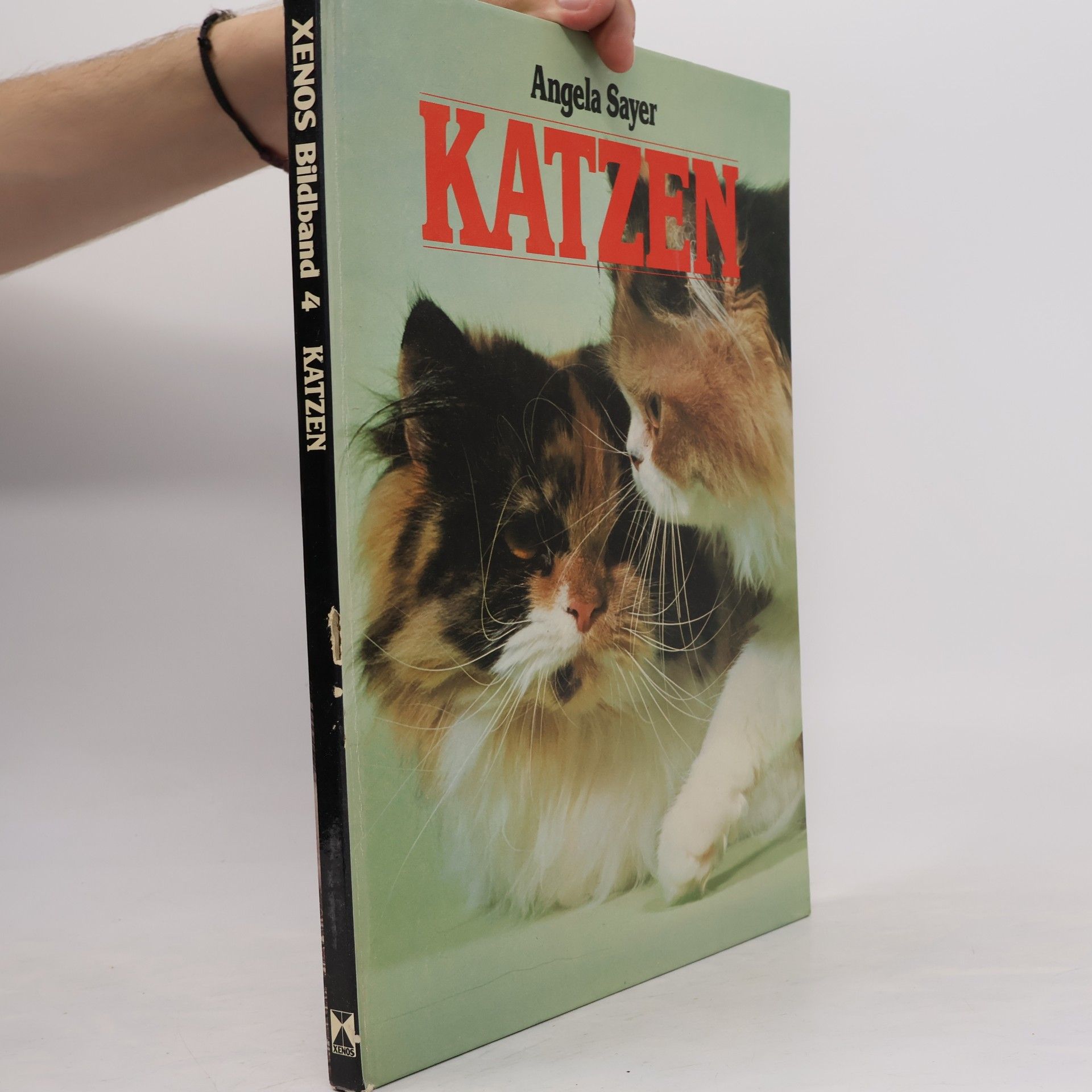 Angela Rixon Katzen