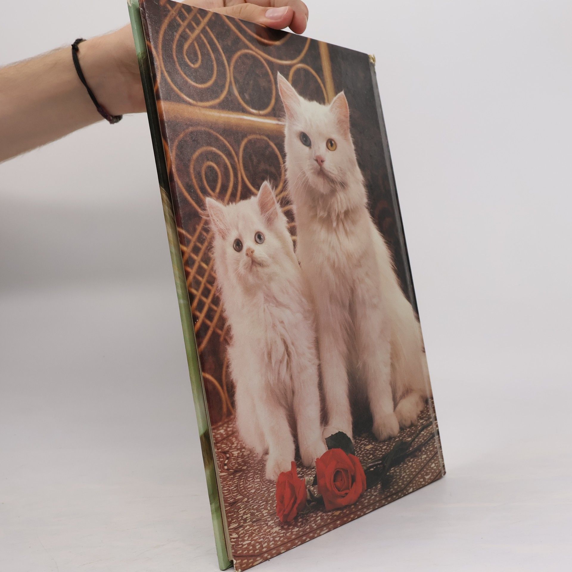 Angela Rixon Katzen