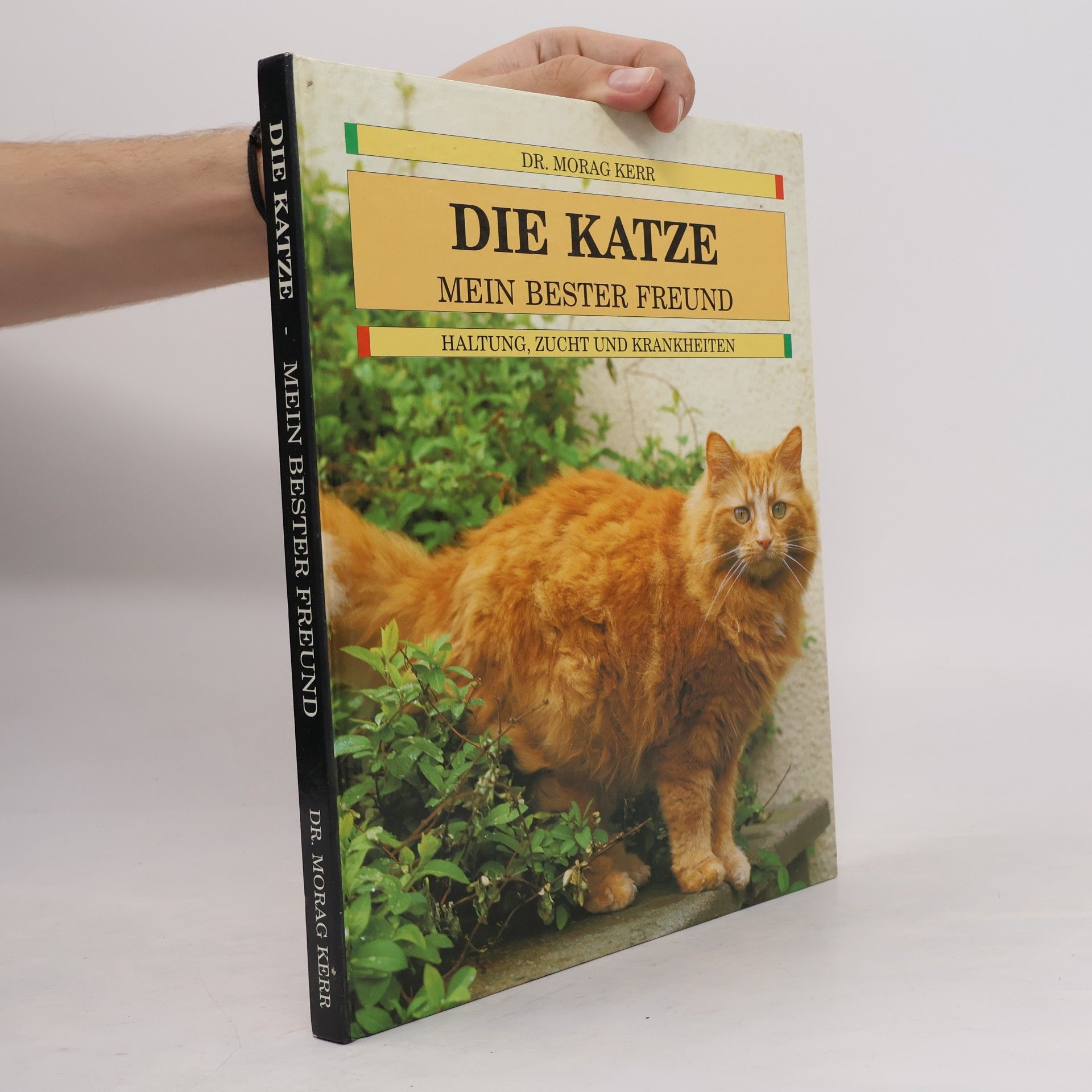 Morag Kerr Die Katze - Mein Bester Freund