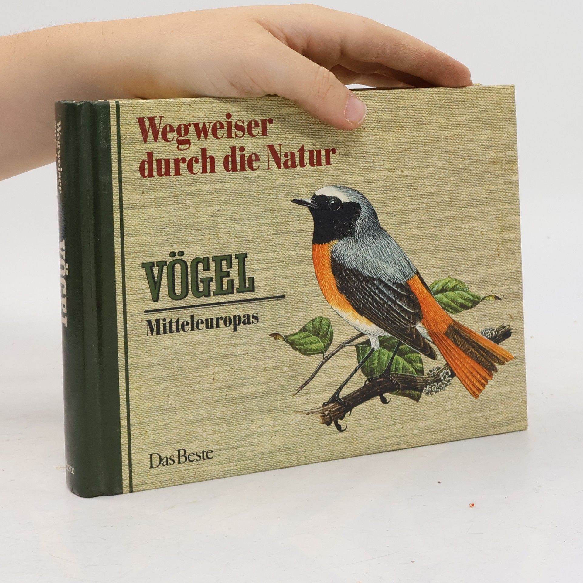 Collectif d'auteurs Wegweiser durch die Natur. Vögel Mitteleuropas