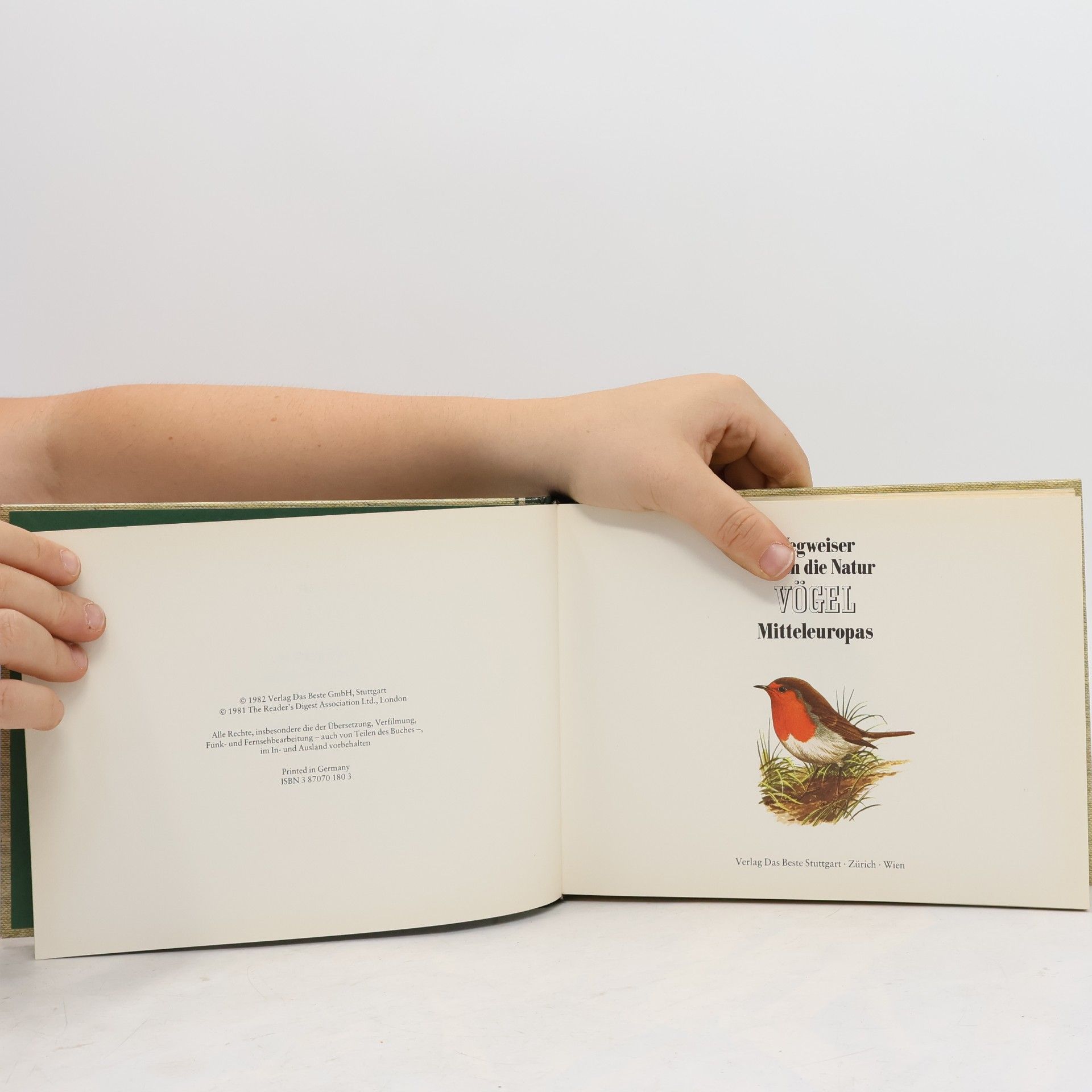 Autorenkollektiv Wegweiser durch die Natur. Vögel Mitteleuropas