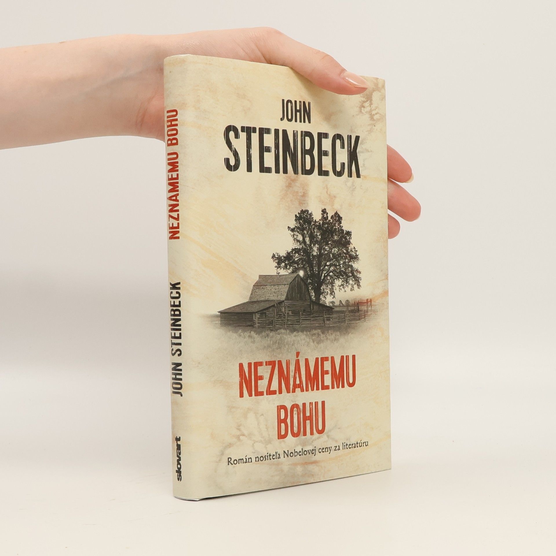 Neznámemu bohu