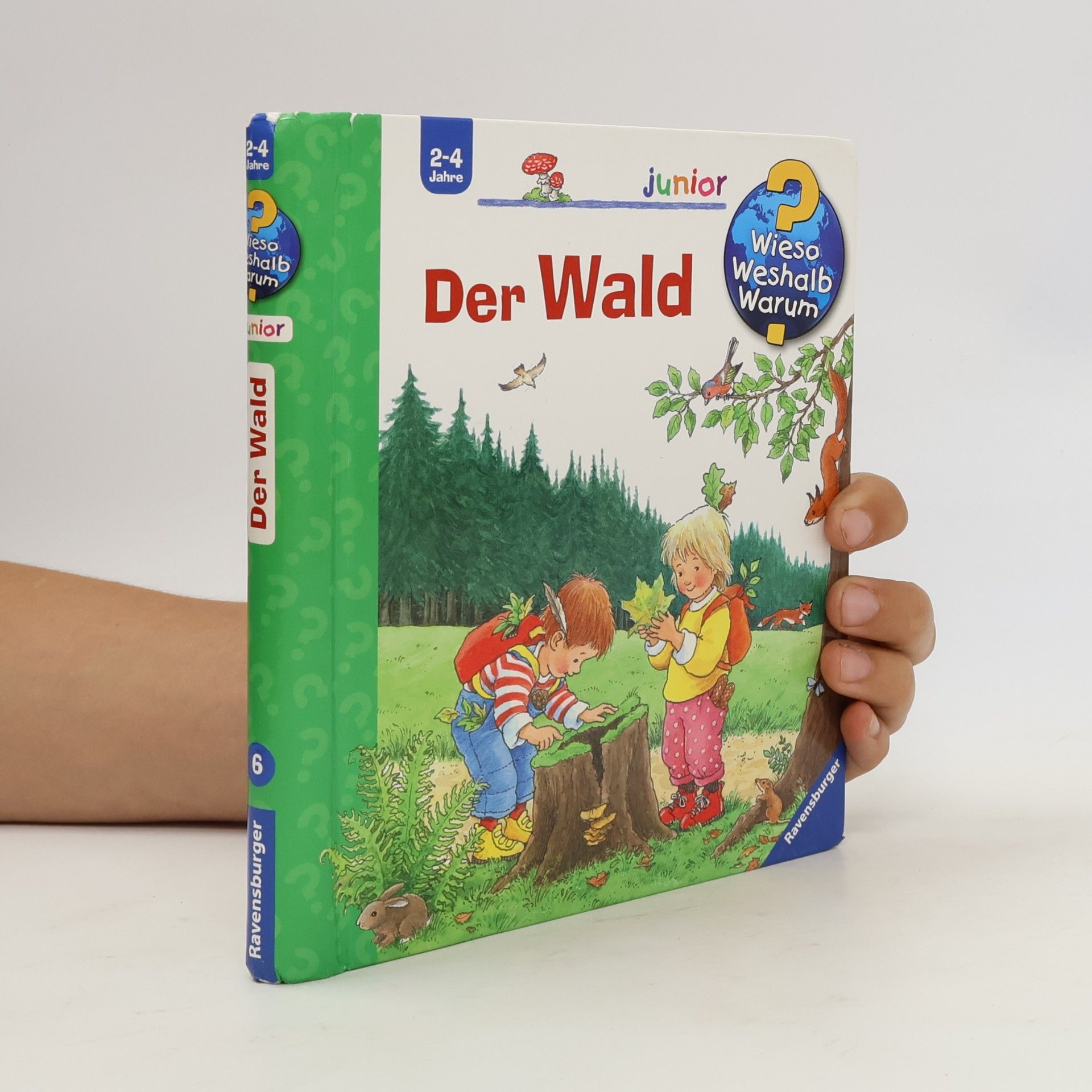 Angela Weinhold Der Wald