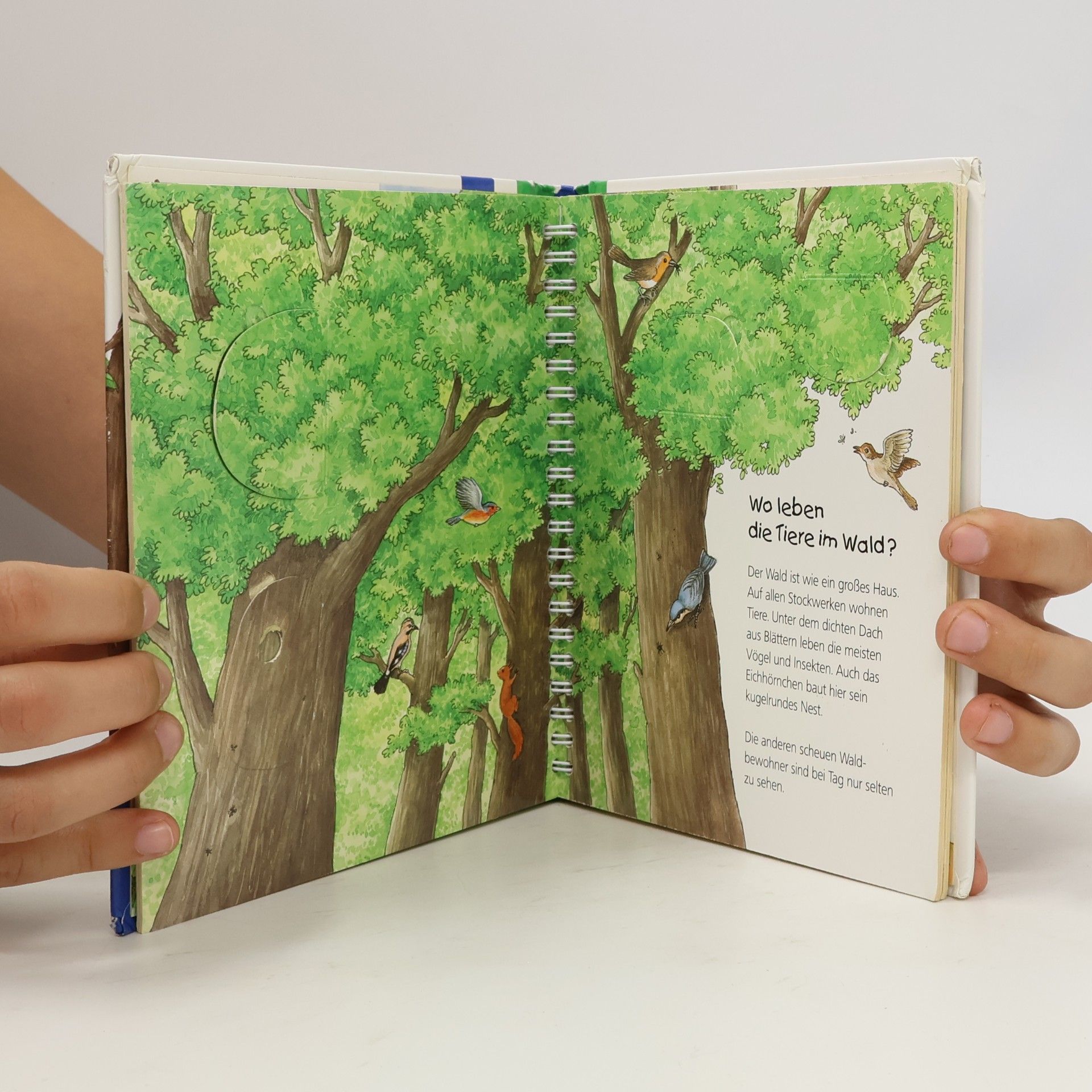 Kolektiv autorů Der Wald