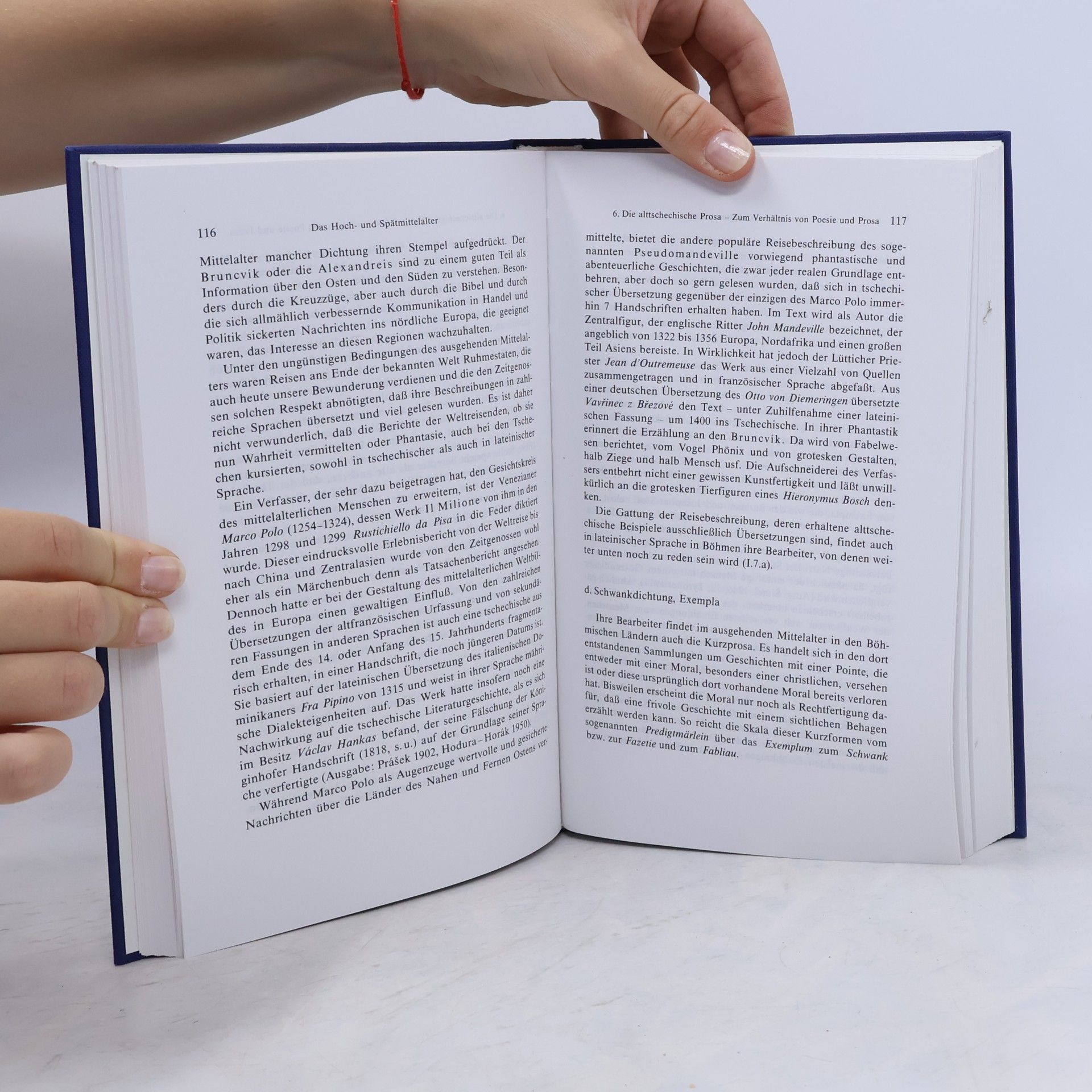 Walter Schamschula Bausteine zur Geschichte der Literatur bei den Slaven - 1: Geschichte der tschechischen Literatur