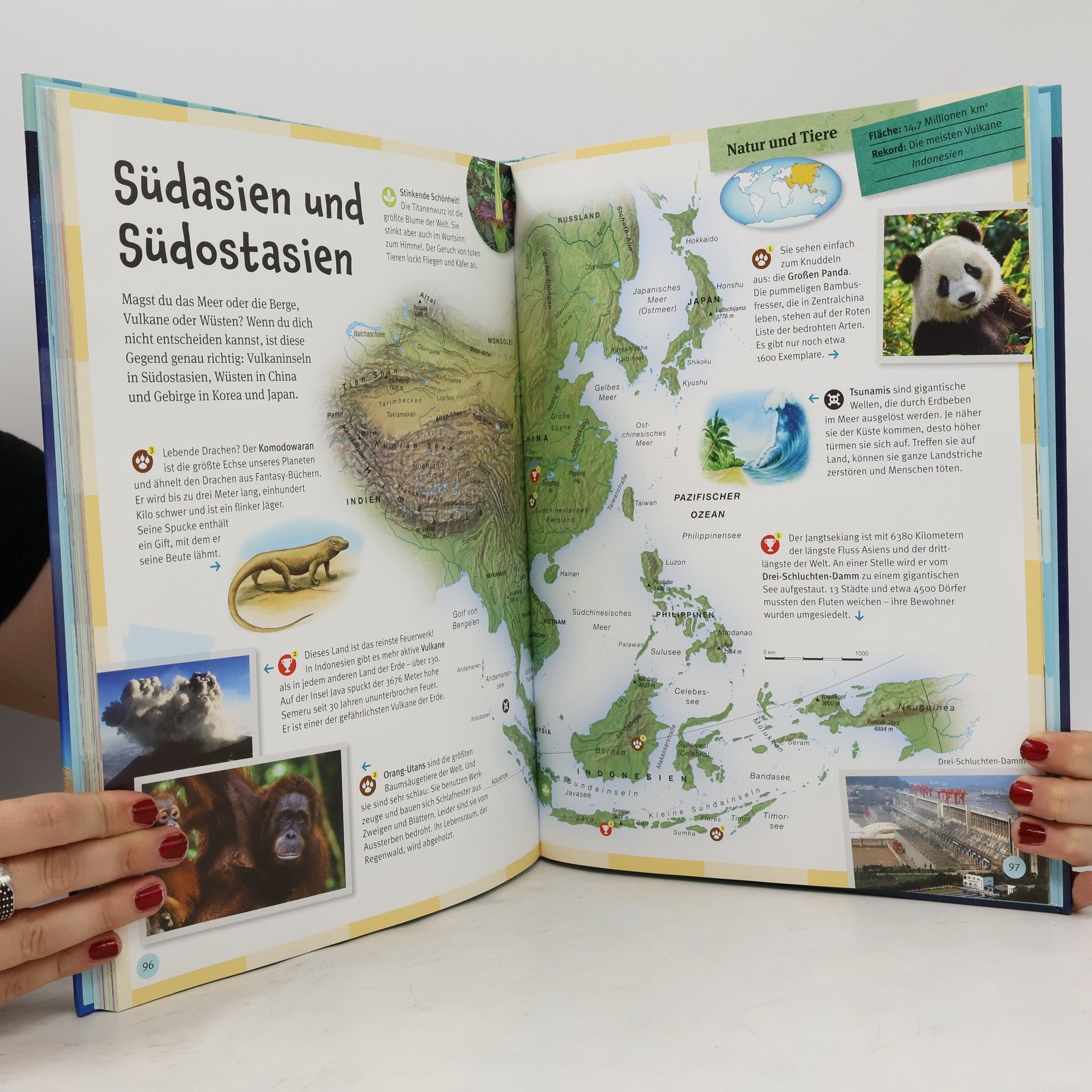 Andrea Schwendemann Der große Ravensburger Weltatlas für Kinder