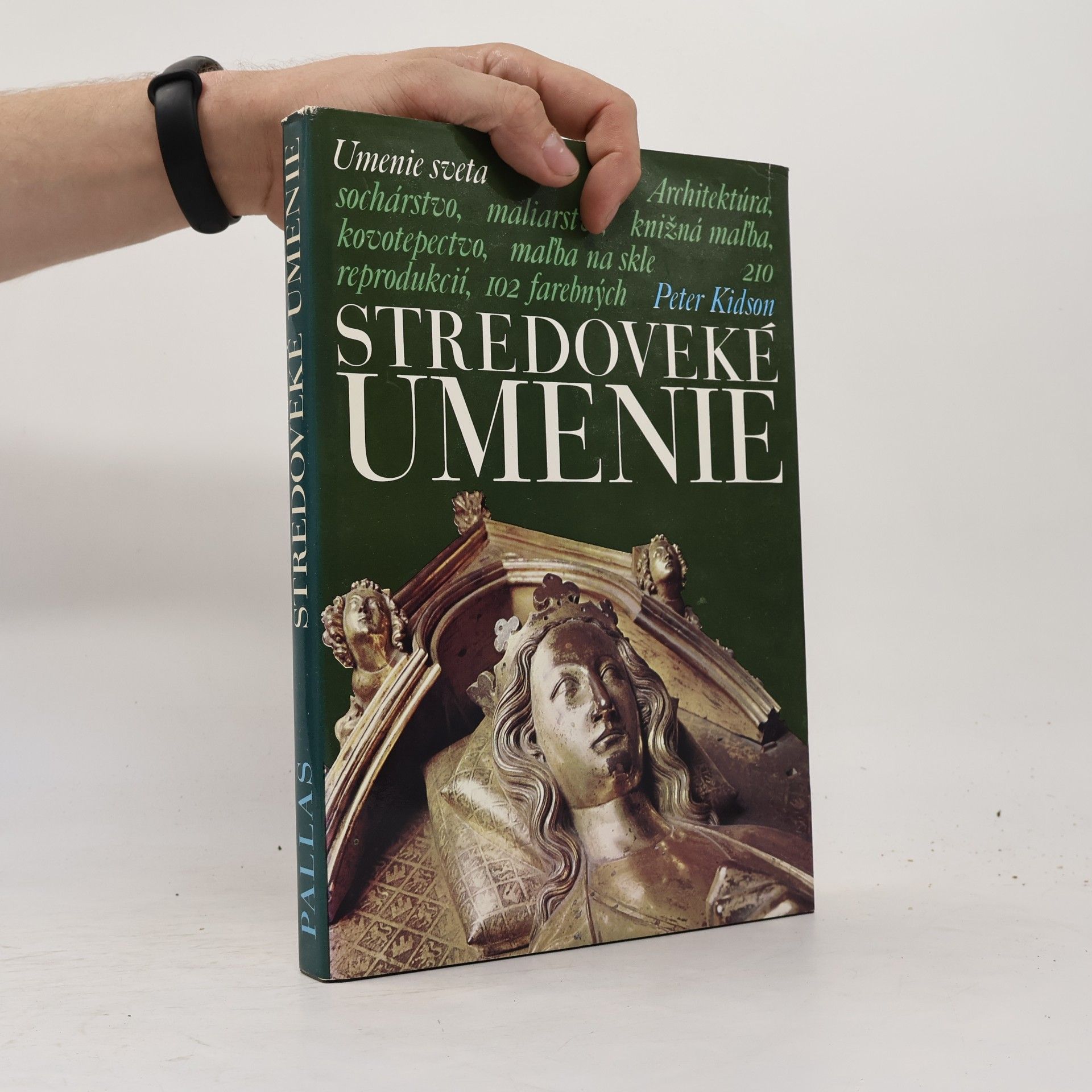 Peter Kidson Stredoveké umenie