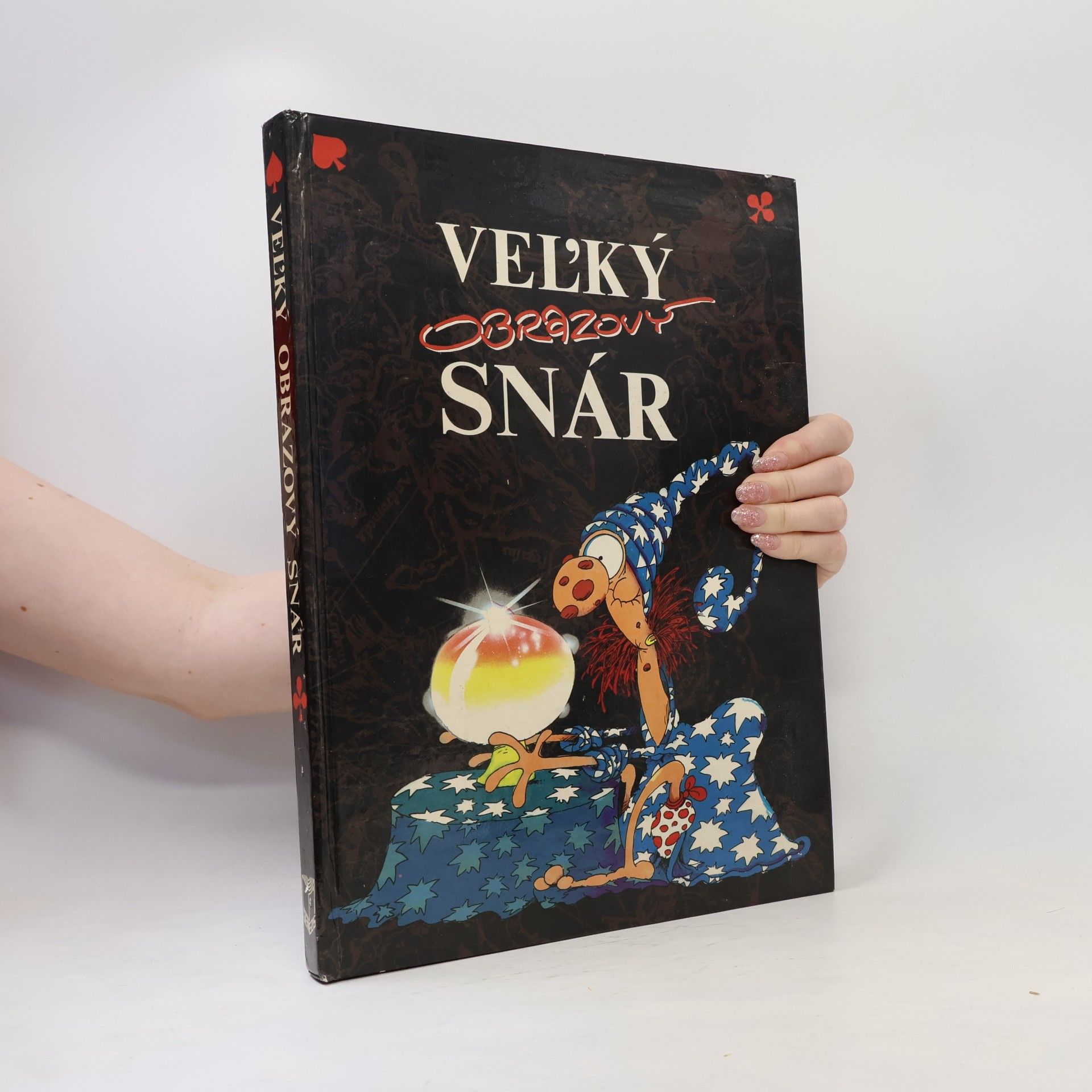 Kolektiv autorů Veľký obrazový snár