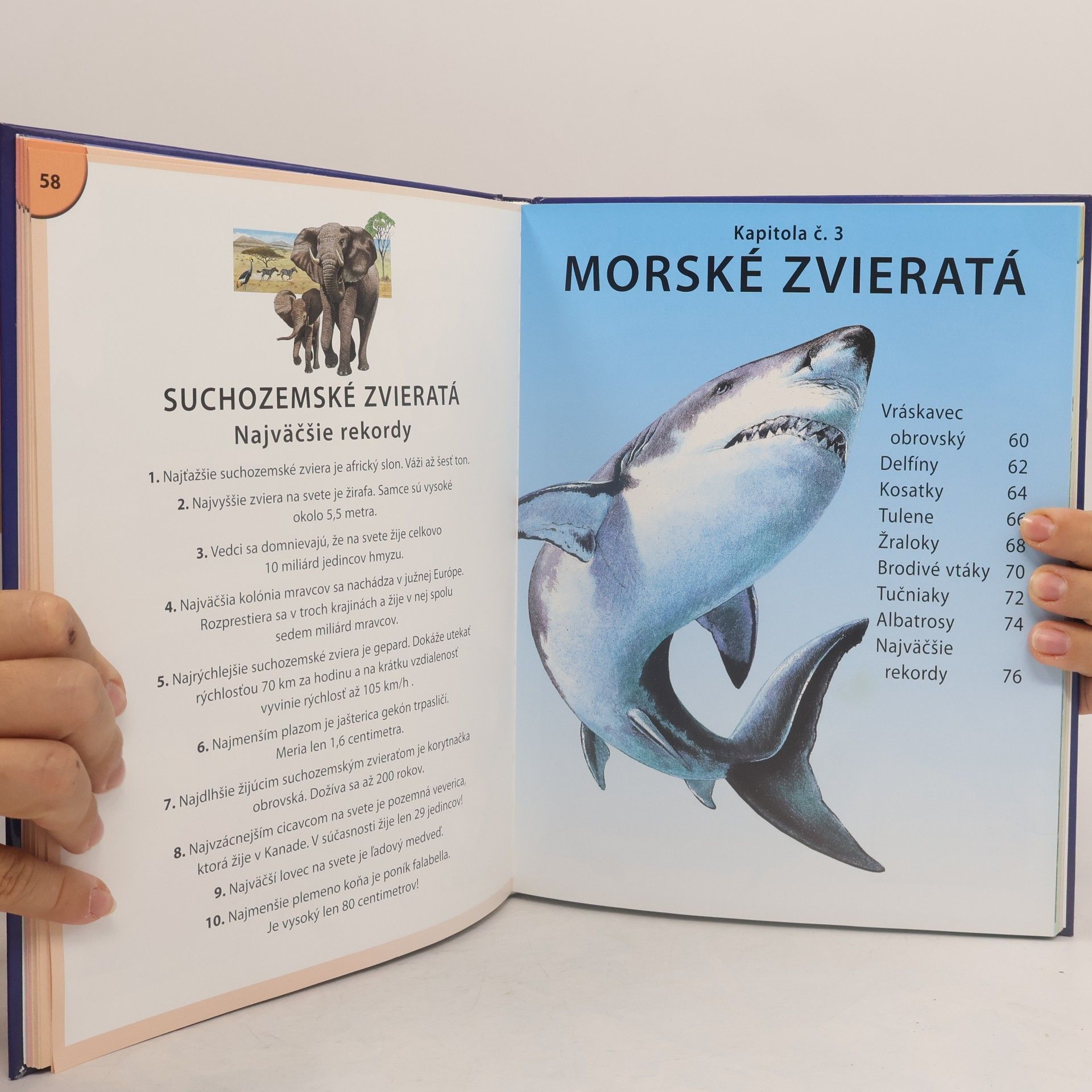 Autorenkollektiv Prečo Ako?