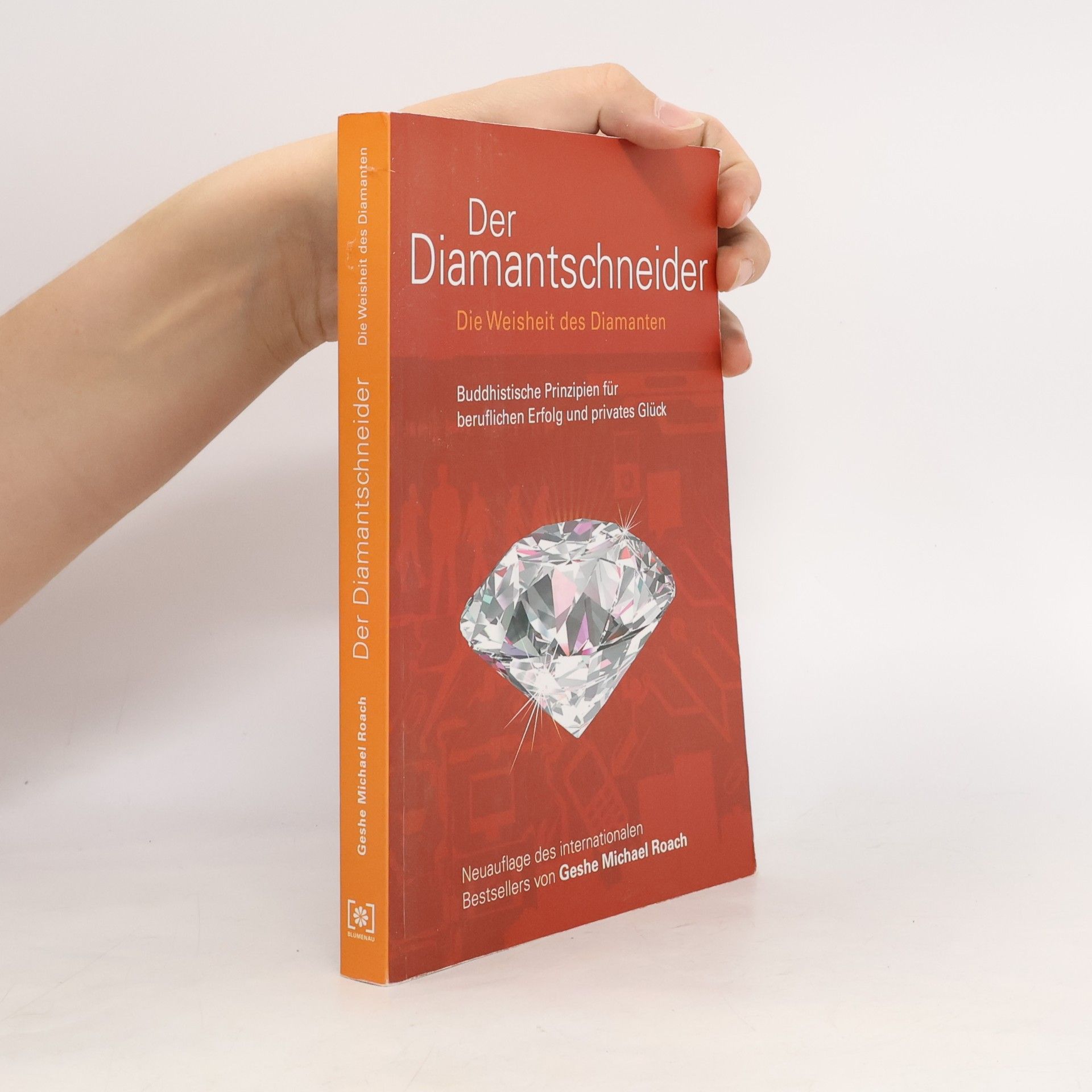Michael Roach Der Diamantschneider