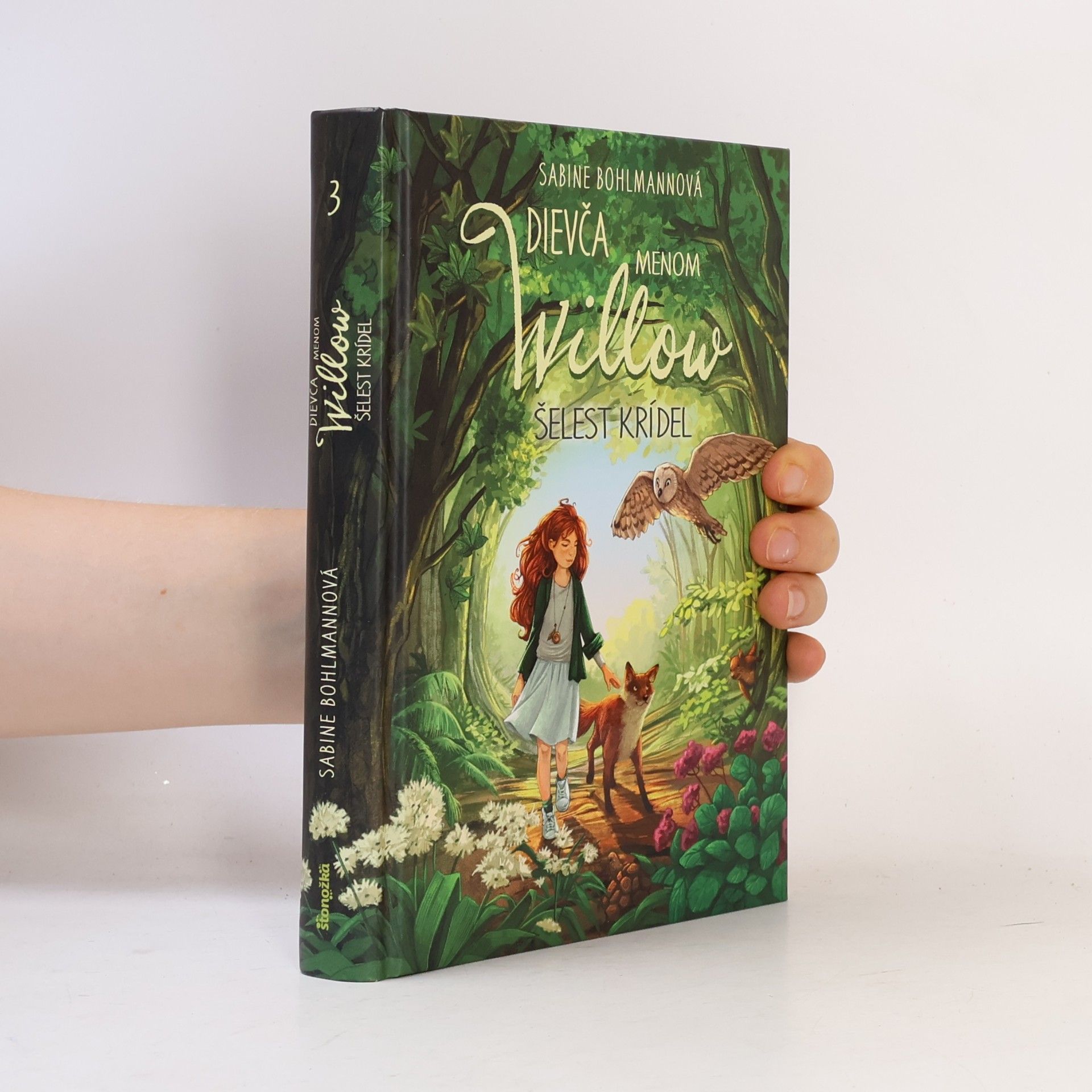 Sabine Bohlmann Dievča menom Willow 3: Šelest krídel