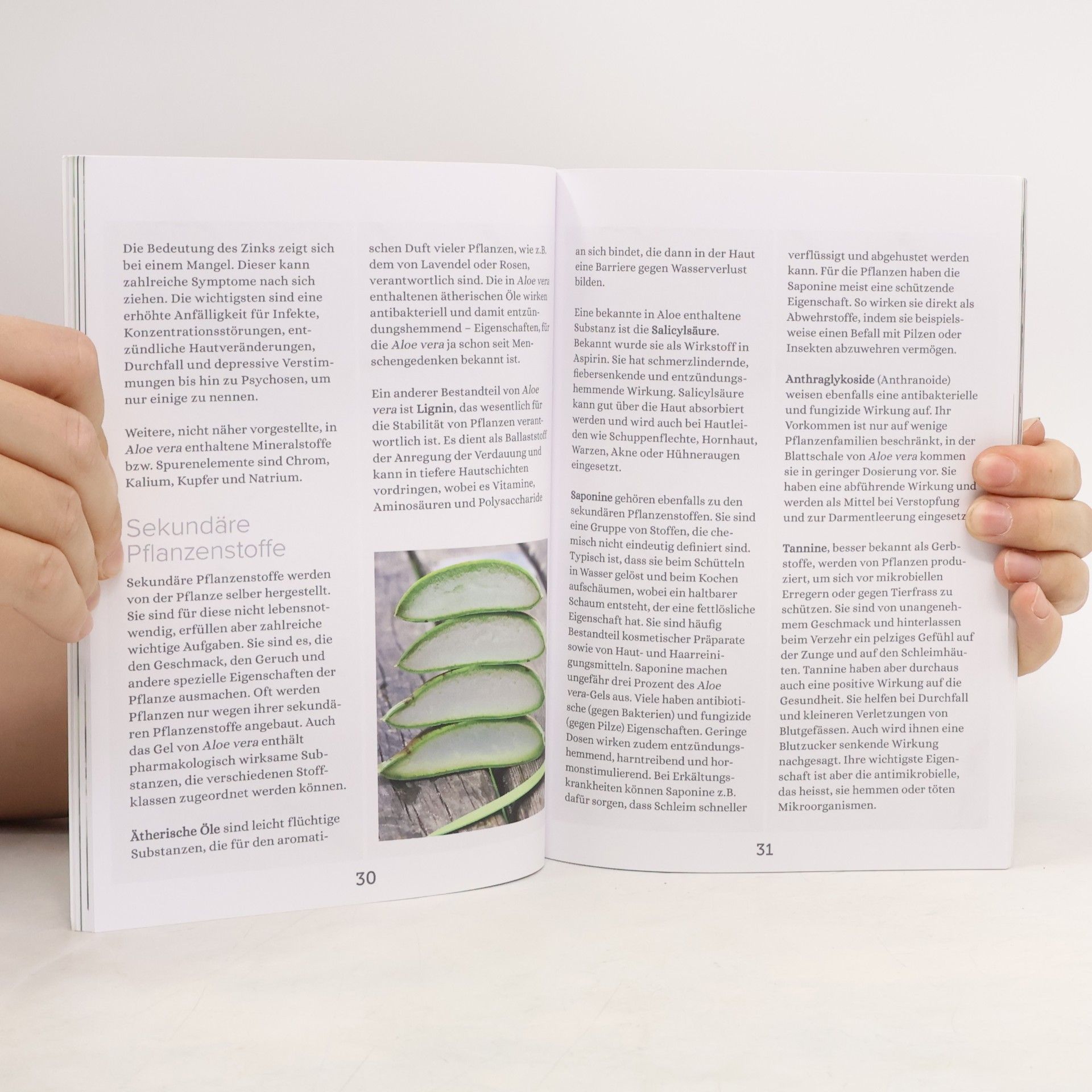 Ibtissem Smida Aloe Vera Verwendungen & Rezepte