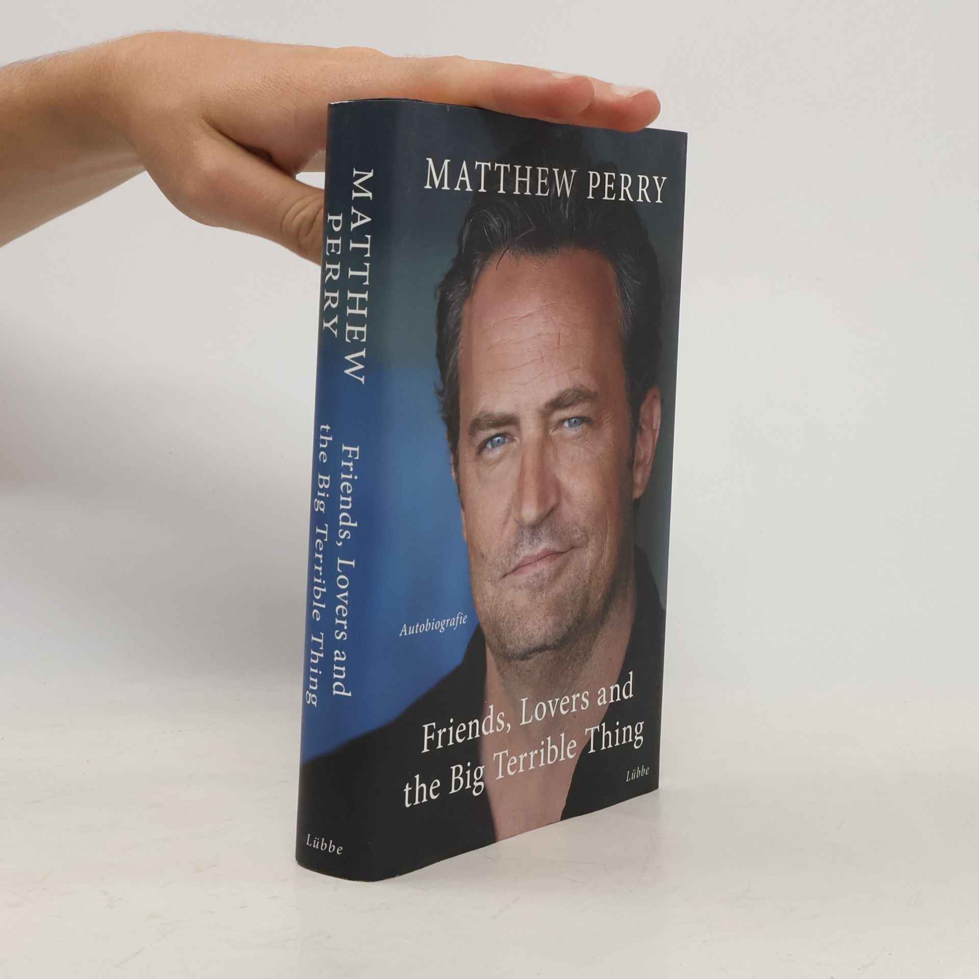 Matthew Perry Friends, Lovers and the Big Terrible Thing