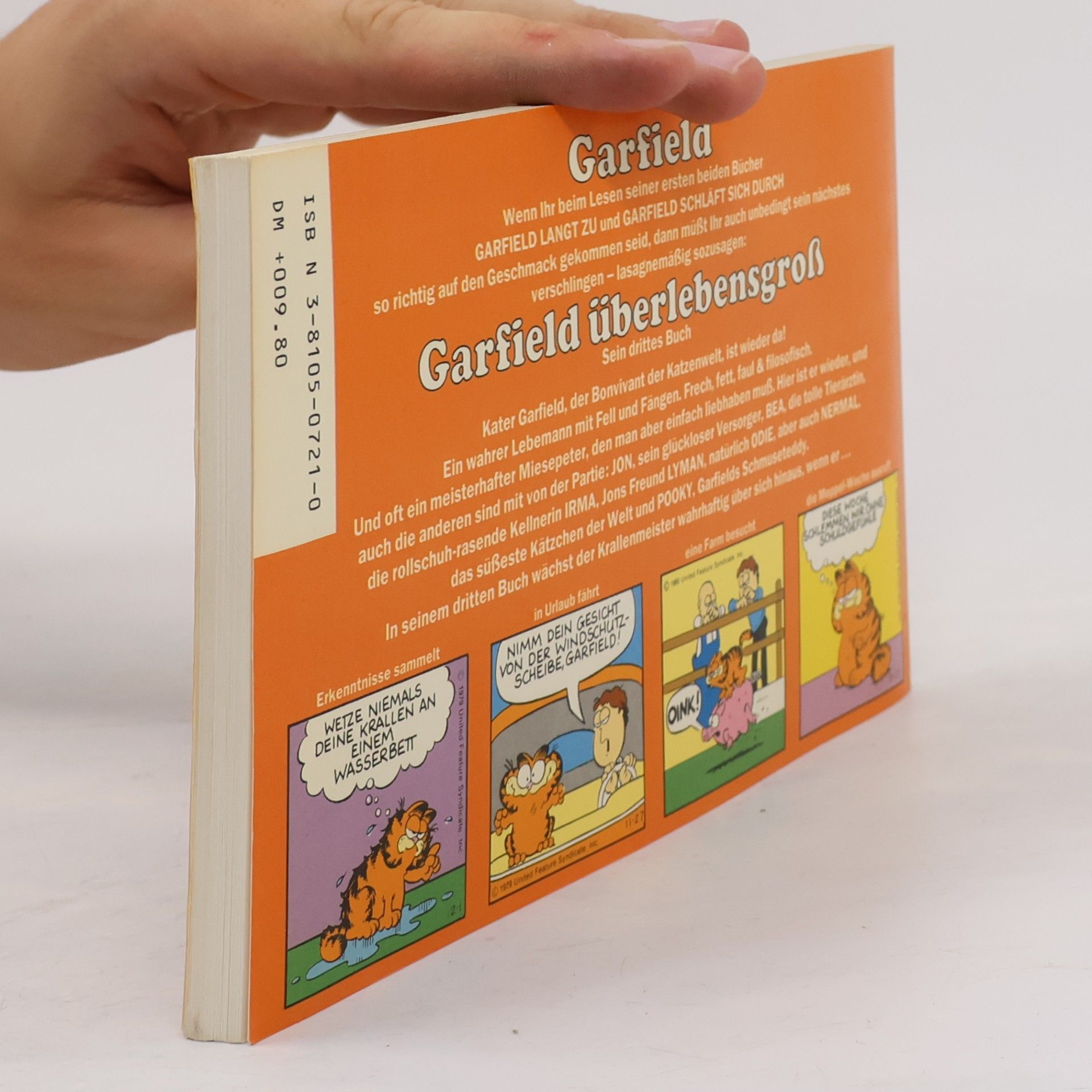 Jim Davis Garfield überlebensgroẞ