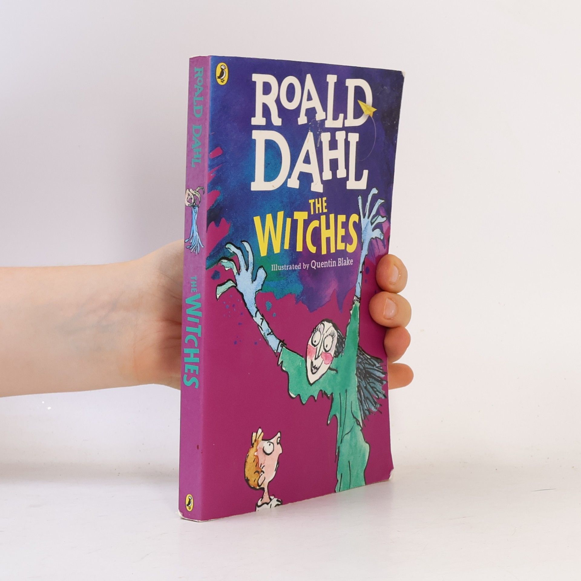 Roald Dahl The Witches