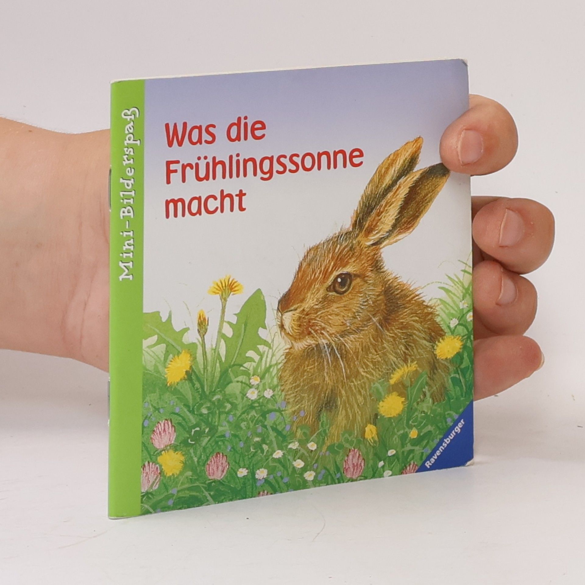 Karsten Teich Was die Frühlingssonne macht