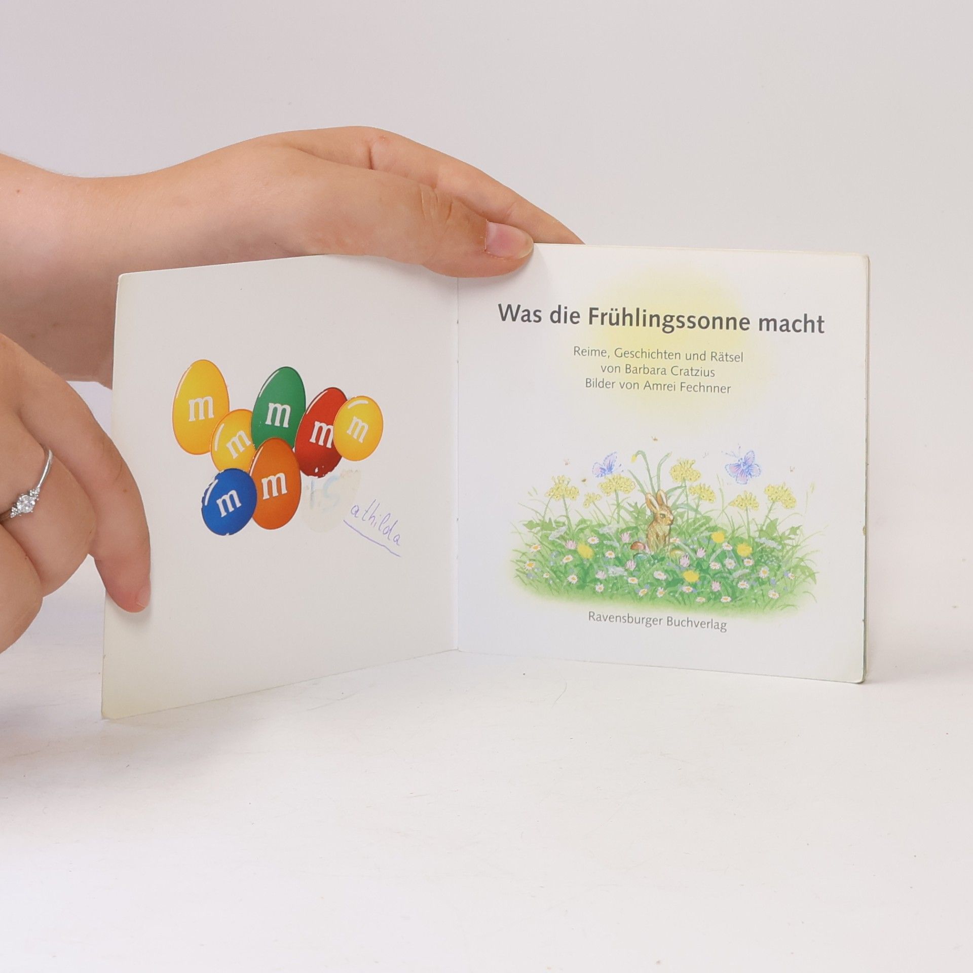 Karsten Teich Was die Frühlingssonne macht