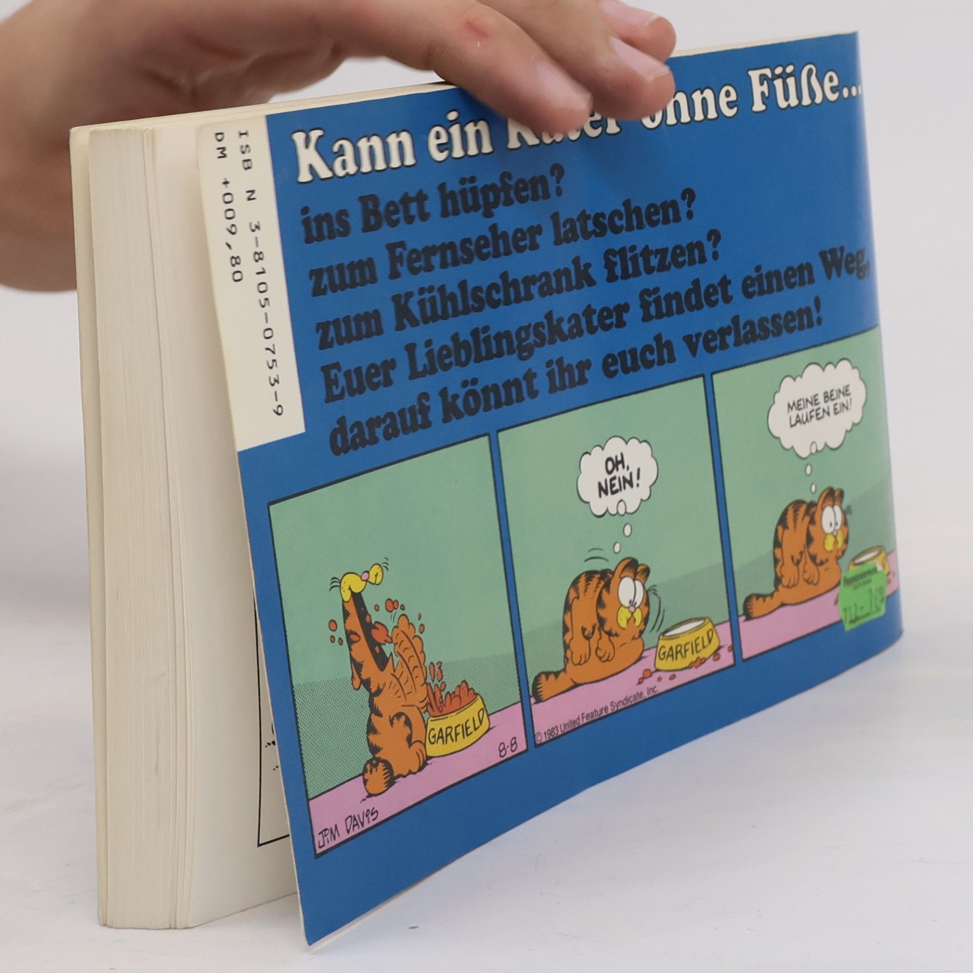 Jim Davis Garfield liegt im Trend 9