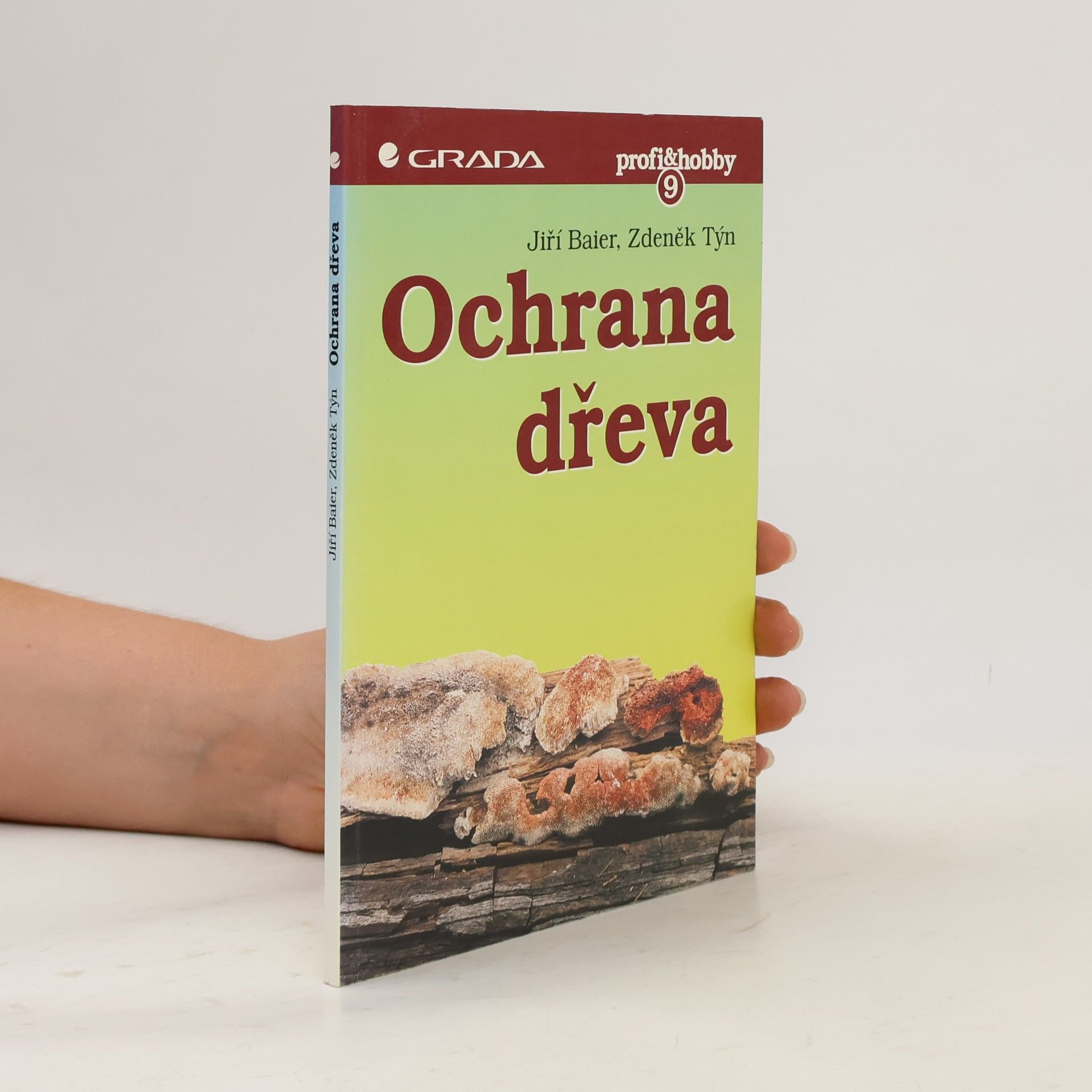 Zdeněk Týn Ochrana dřeva