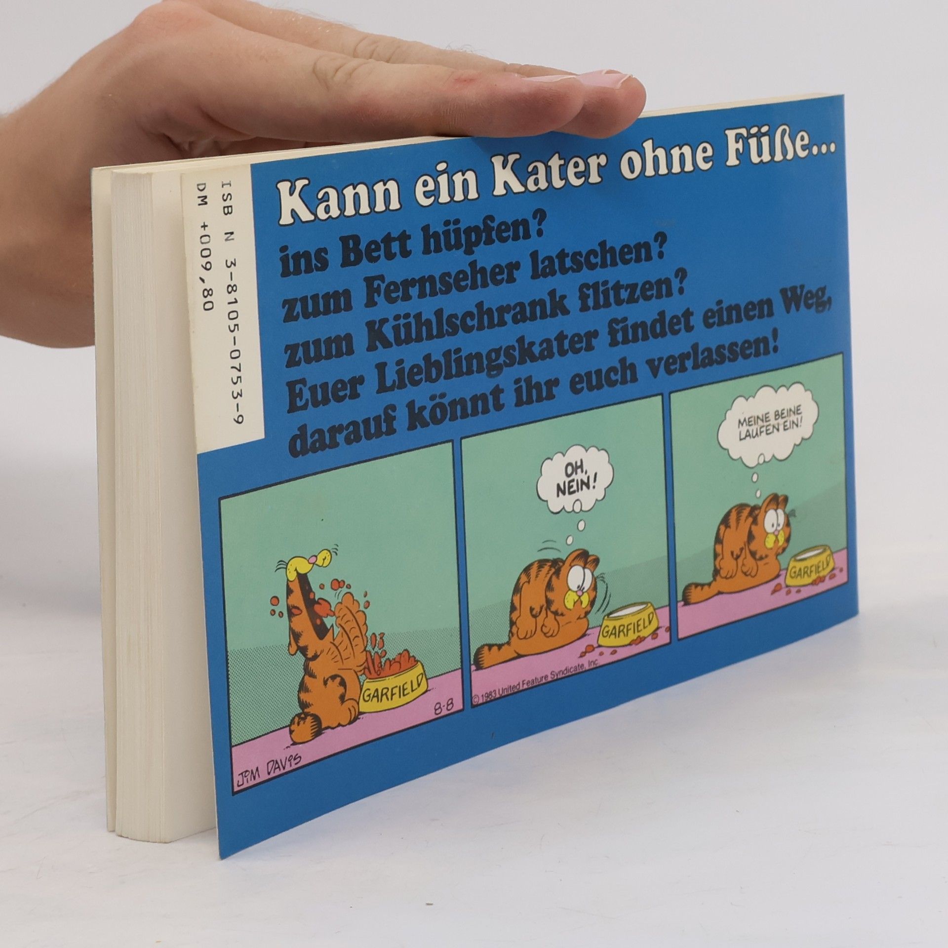 Jim Davis Garfield liegt im Trend 9