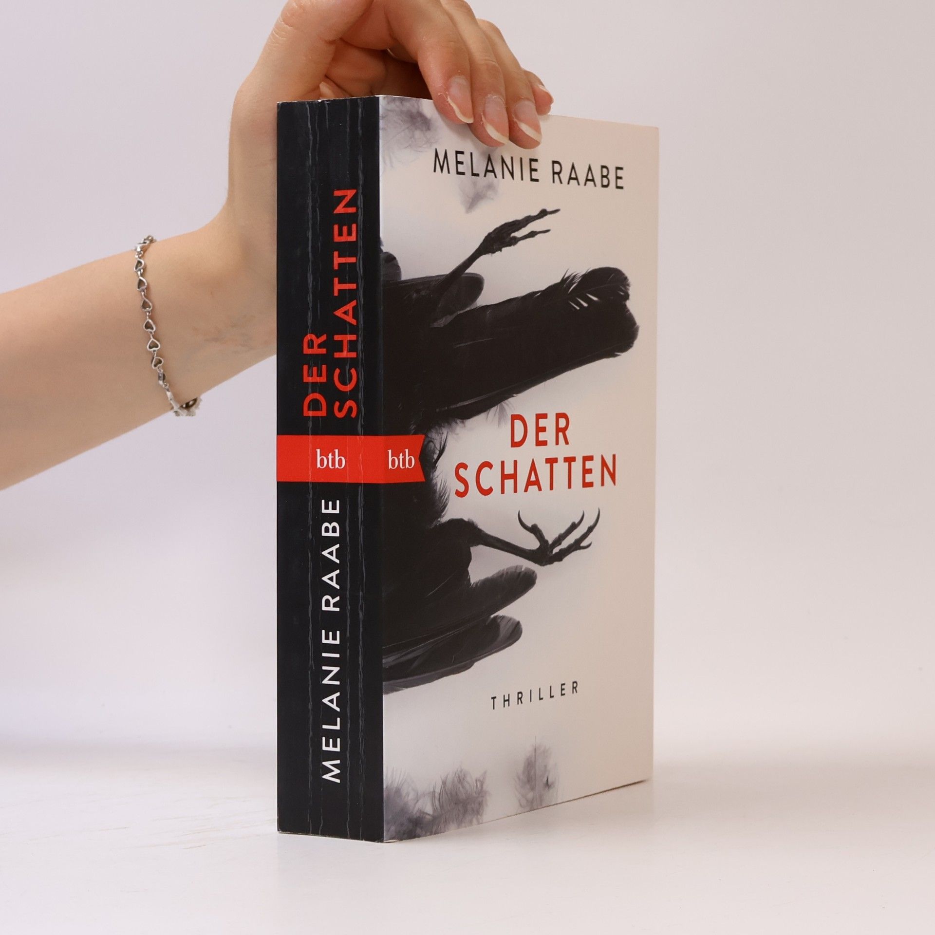 Melanie Raabe Der Schatten