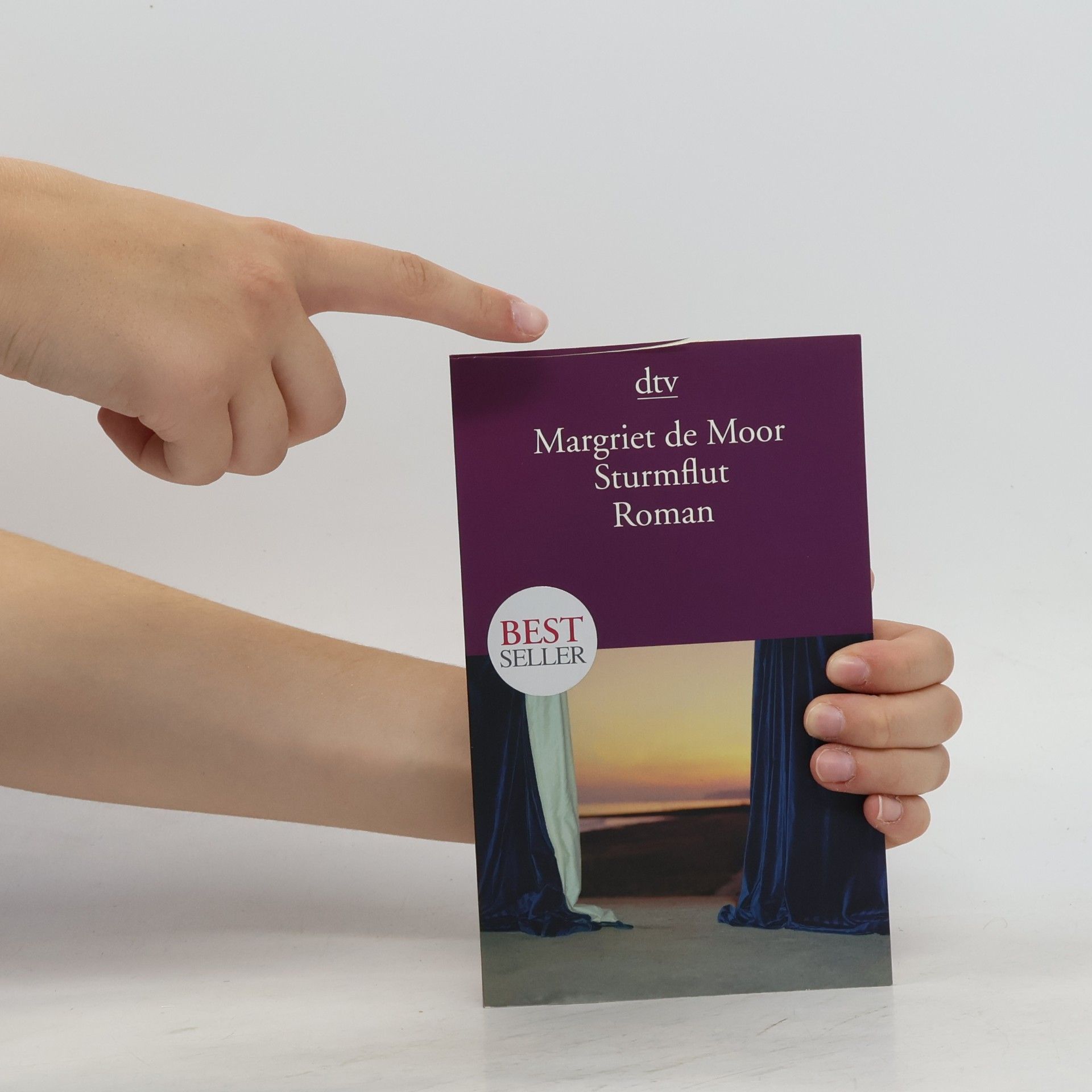 Margriet de Moor Sturmflut
