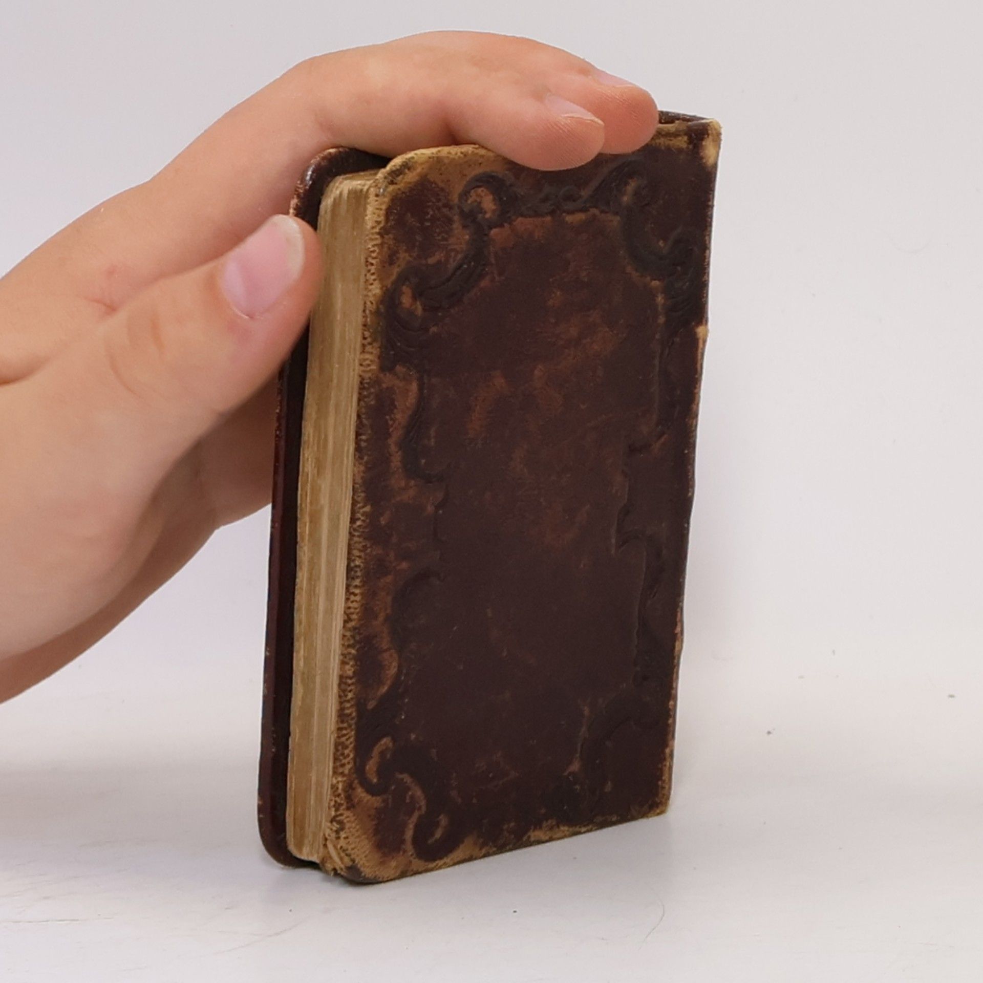 Autorenkollektiv Liederbuch für deutsche Turner