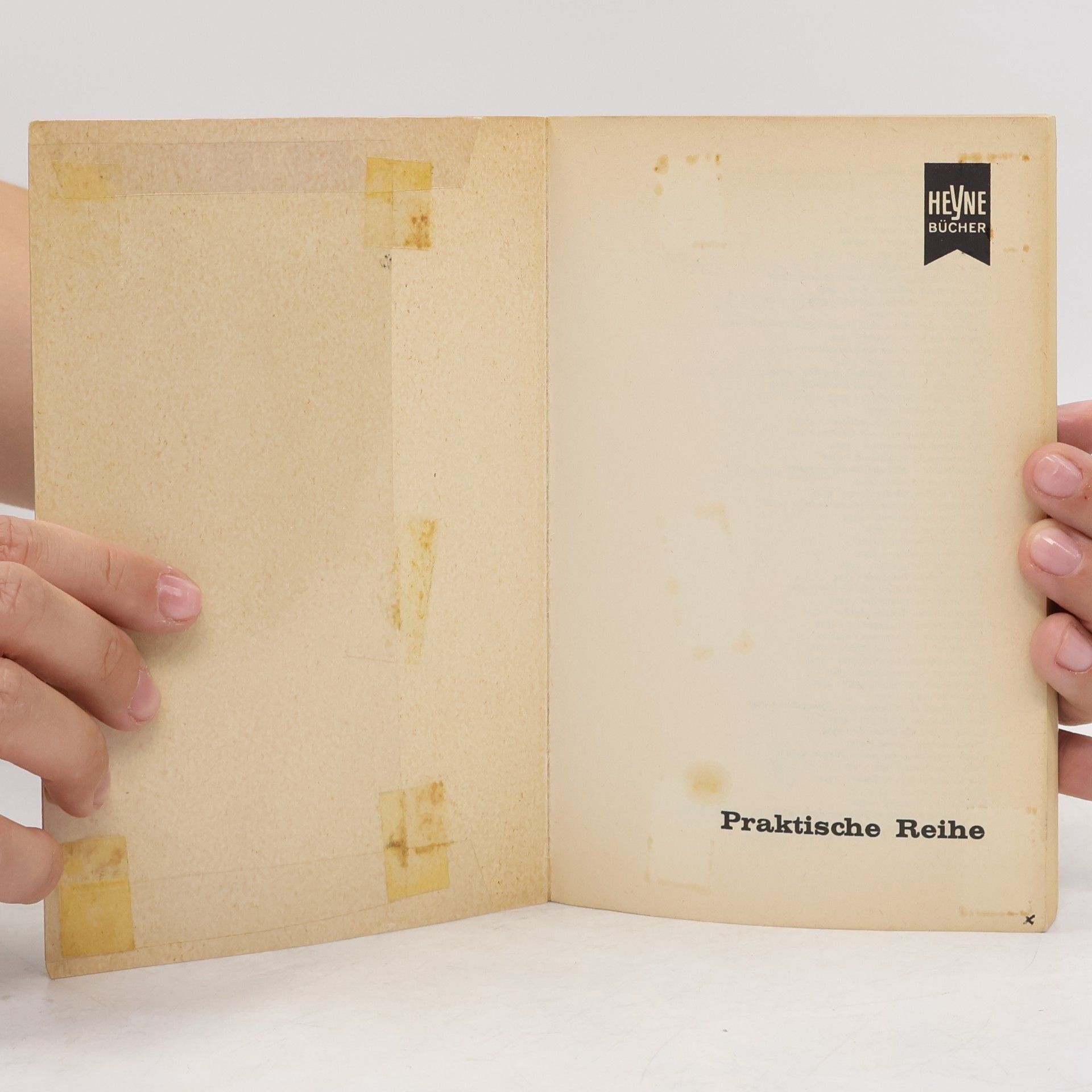 Hanns Kurth Das praktische Yogabuch