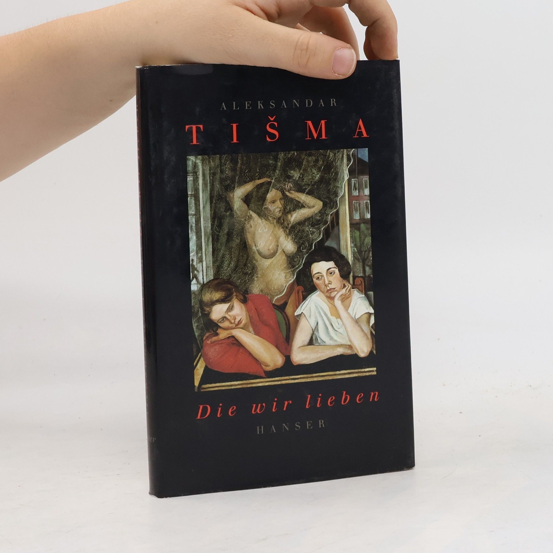 Aleksandar Tišma Die wir lieben