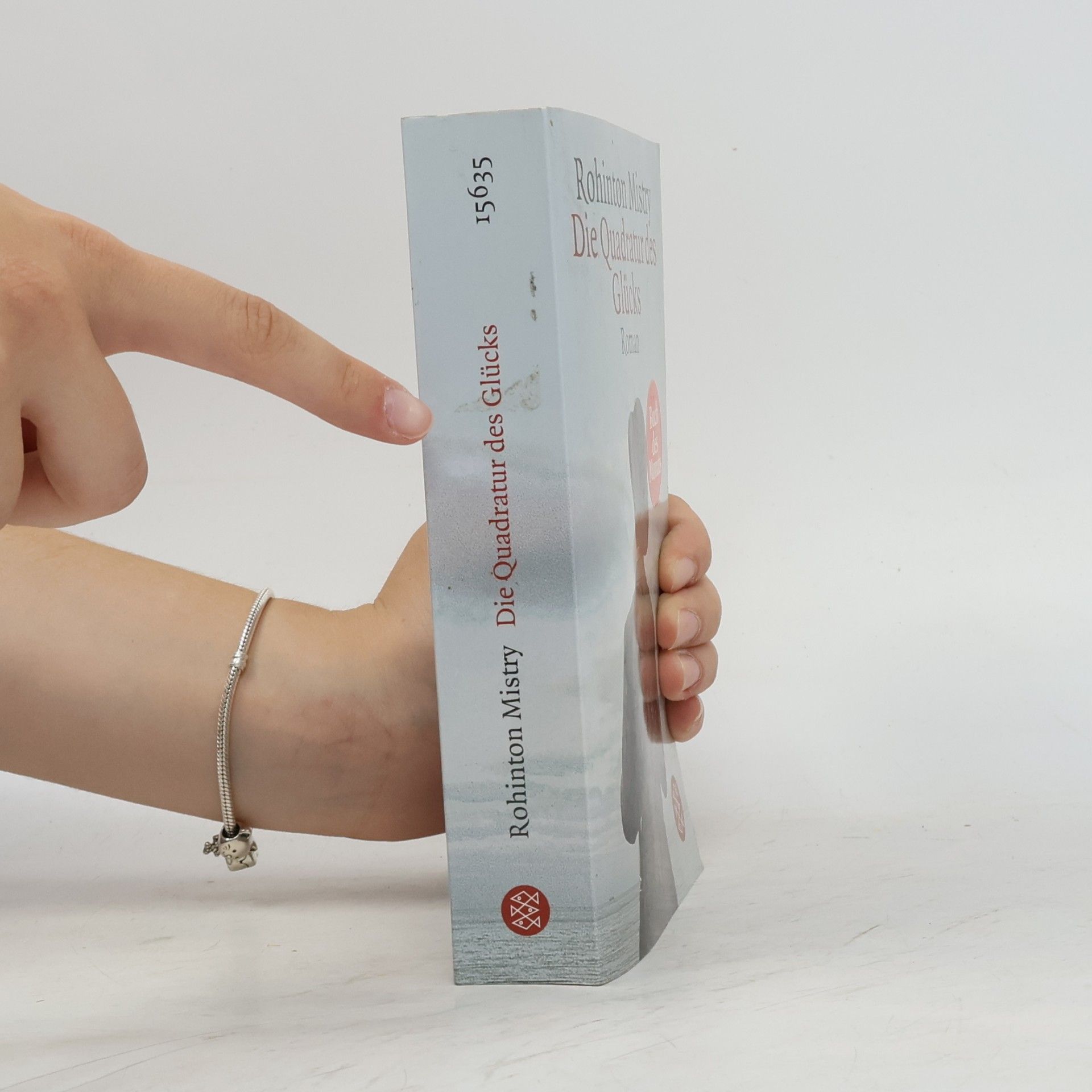 Rohinton Mistry Die Quadratur des Glücks