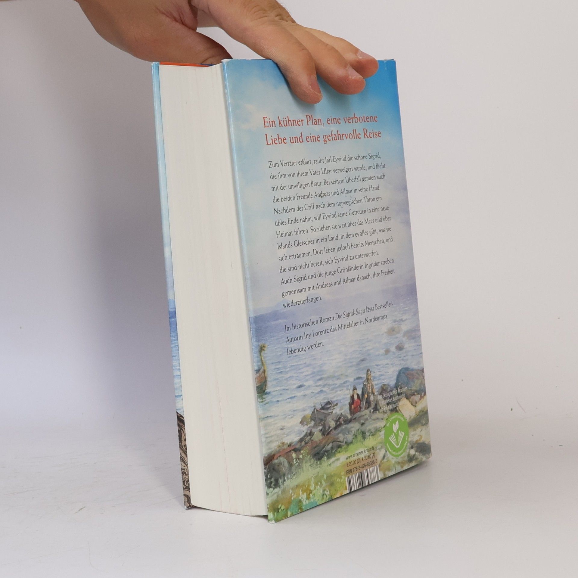 Iny Lorentz Die Saga von Vinland